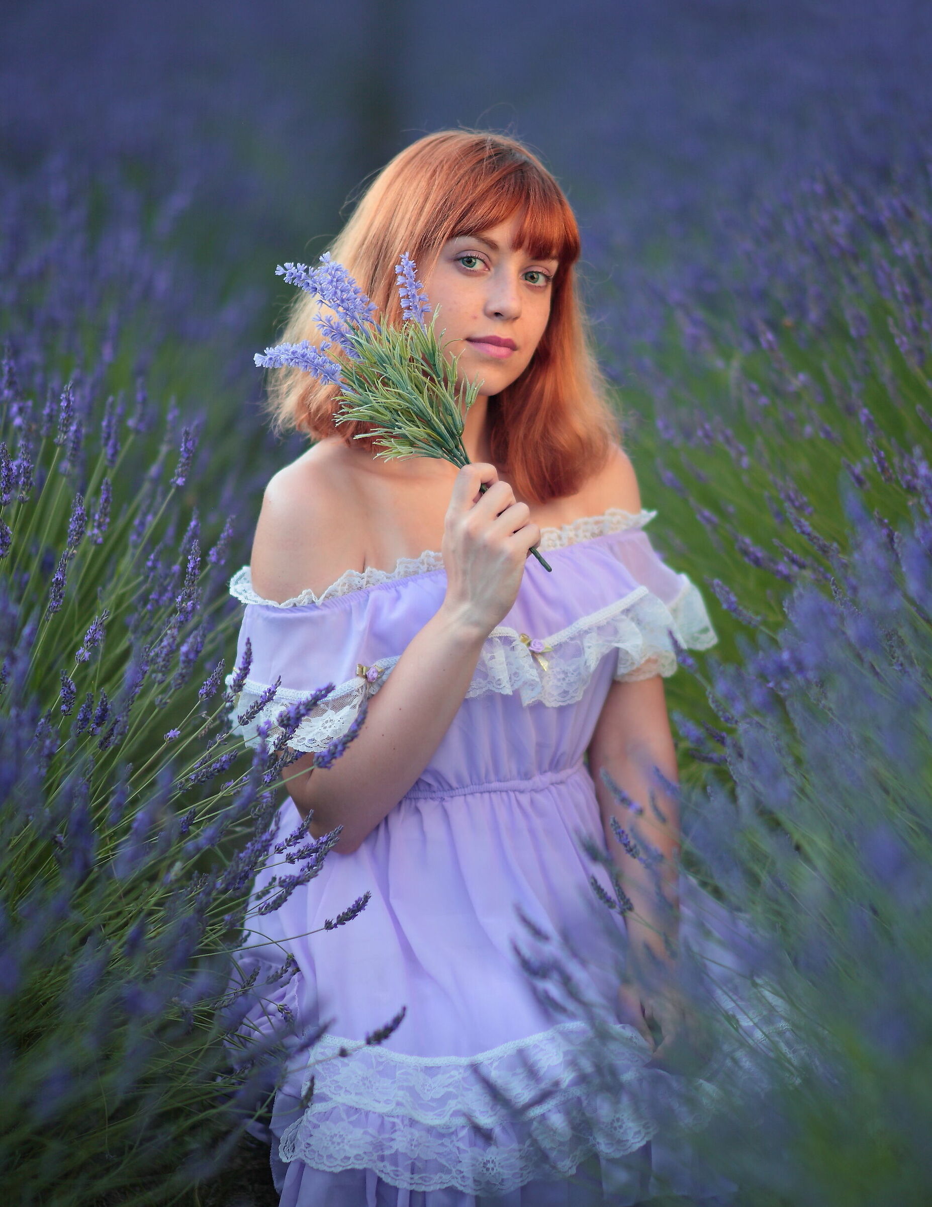 in the lavender field...