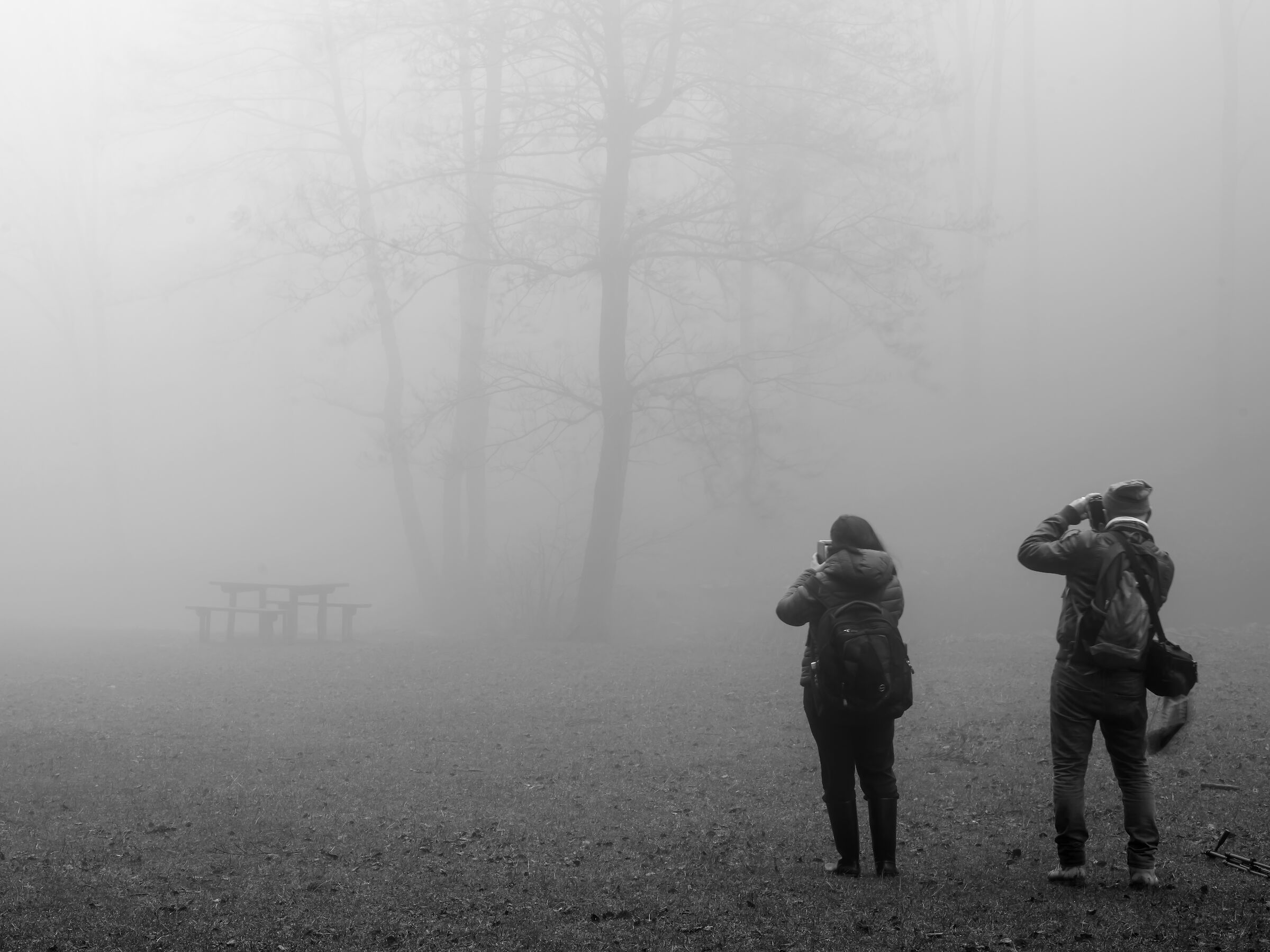 Shooting in the fog...