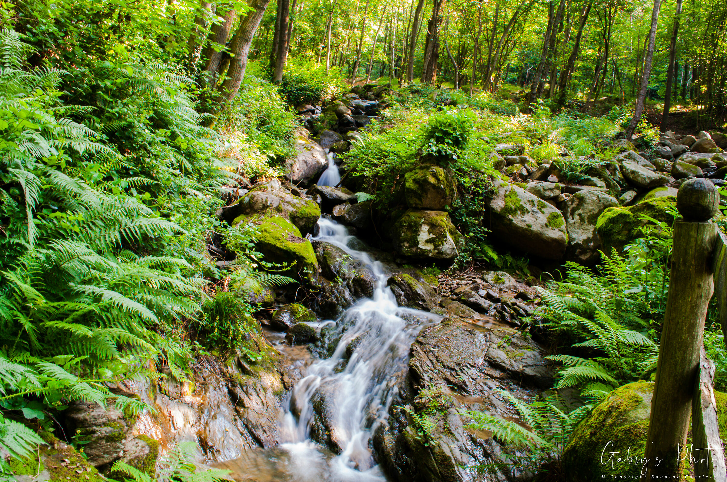Mountain stream - Borgiallo (TO)...