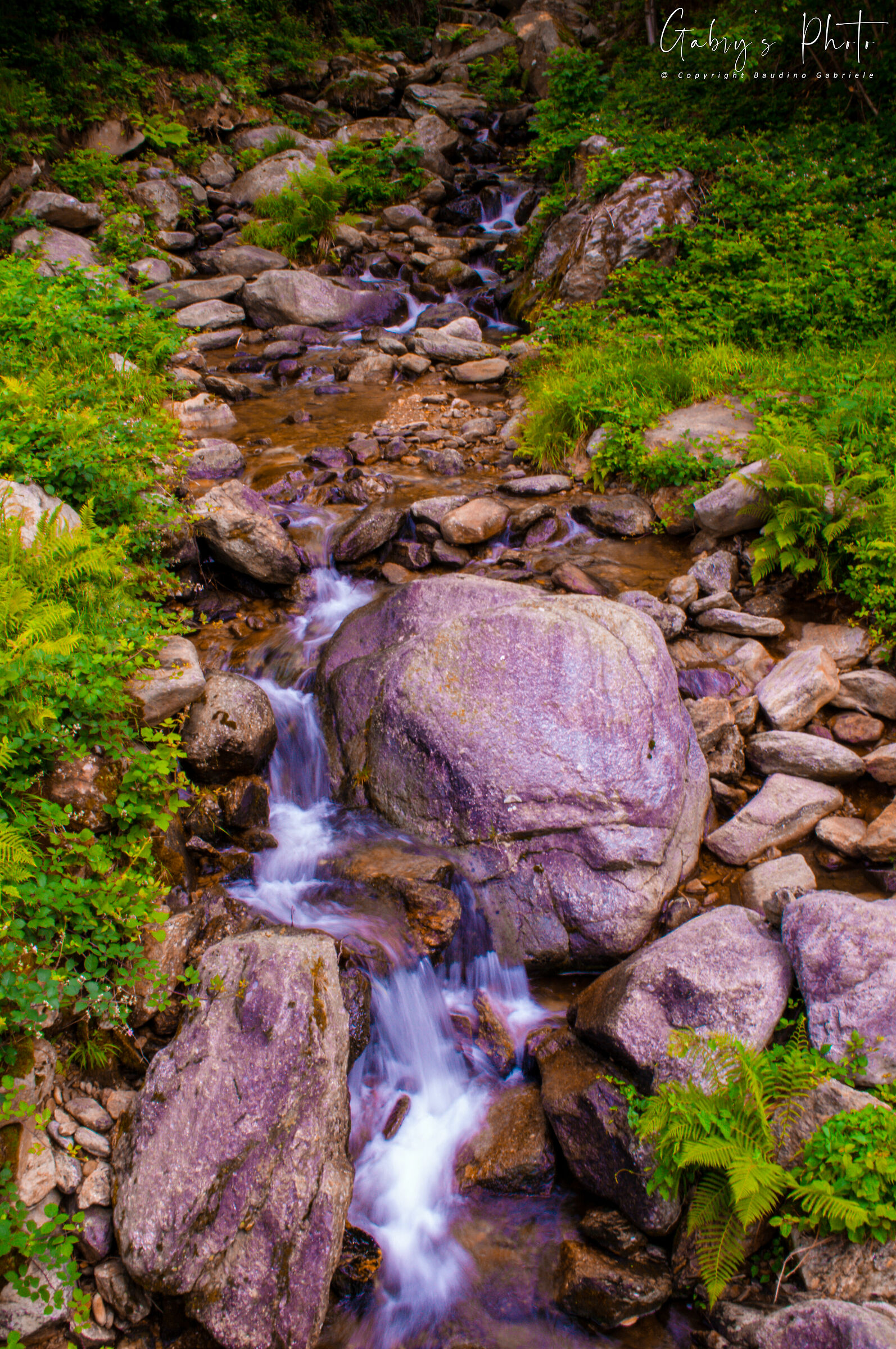 Mountain stream - Borgiallo (TO)...