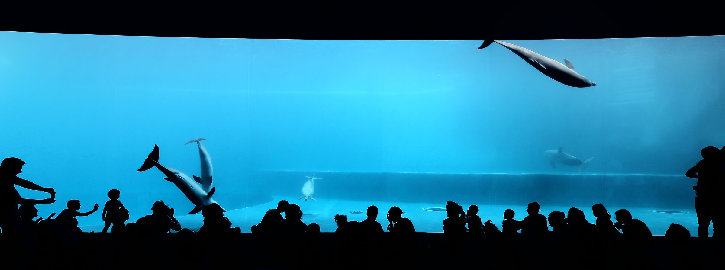 Aquarium...