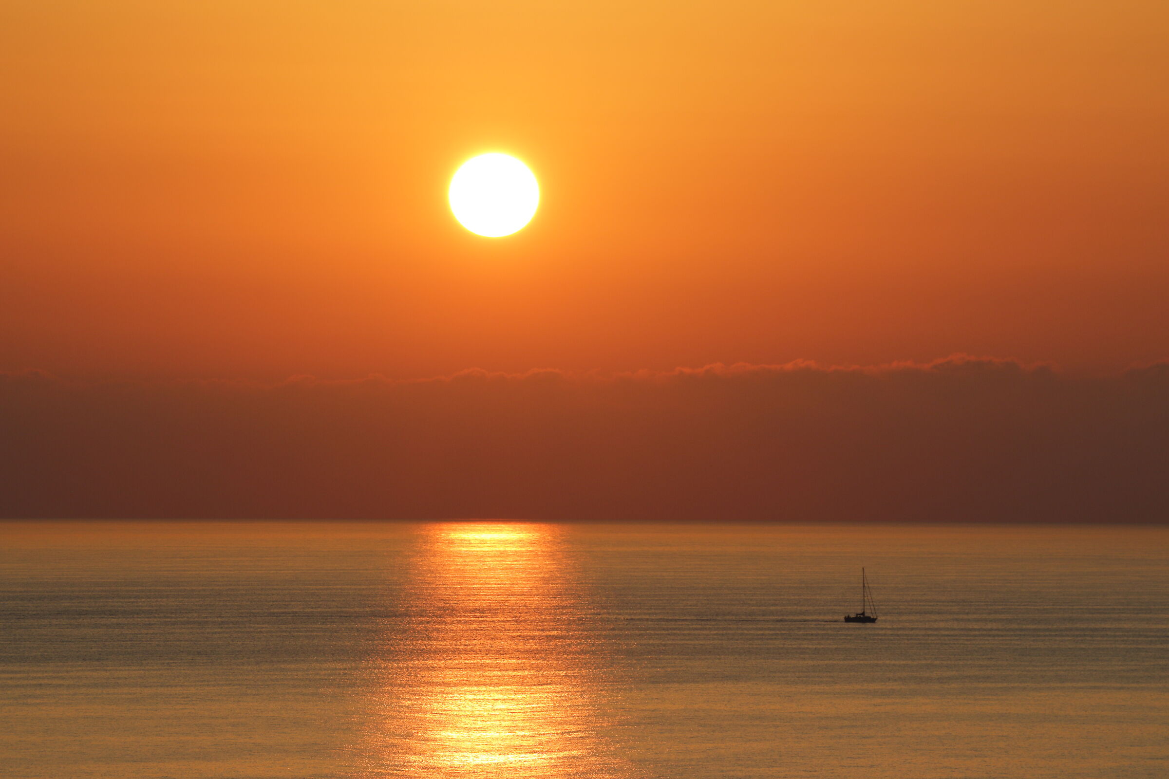 Alba da Fautea, Corsica...