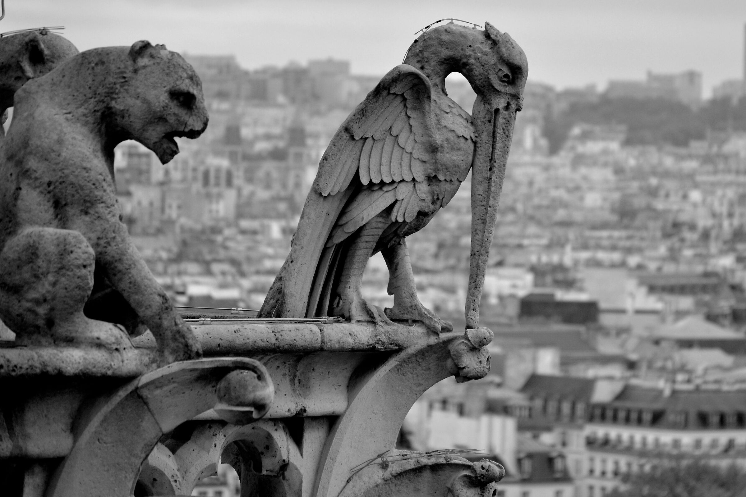 Demons in Paris 9...