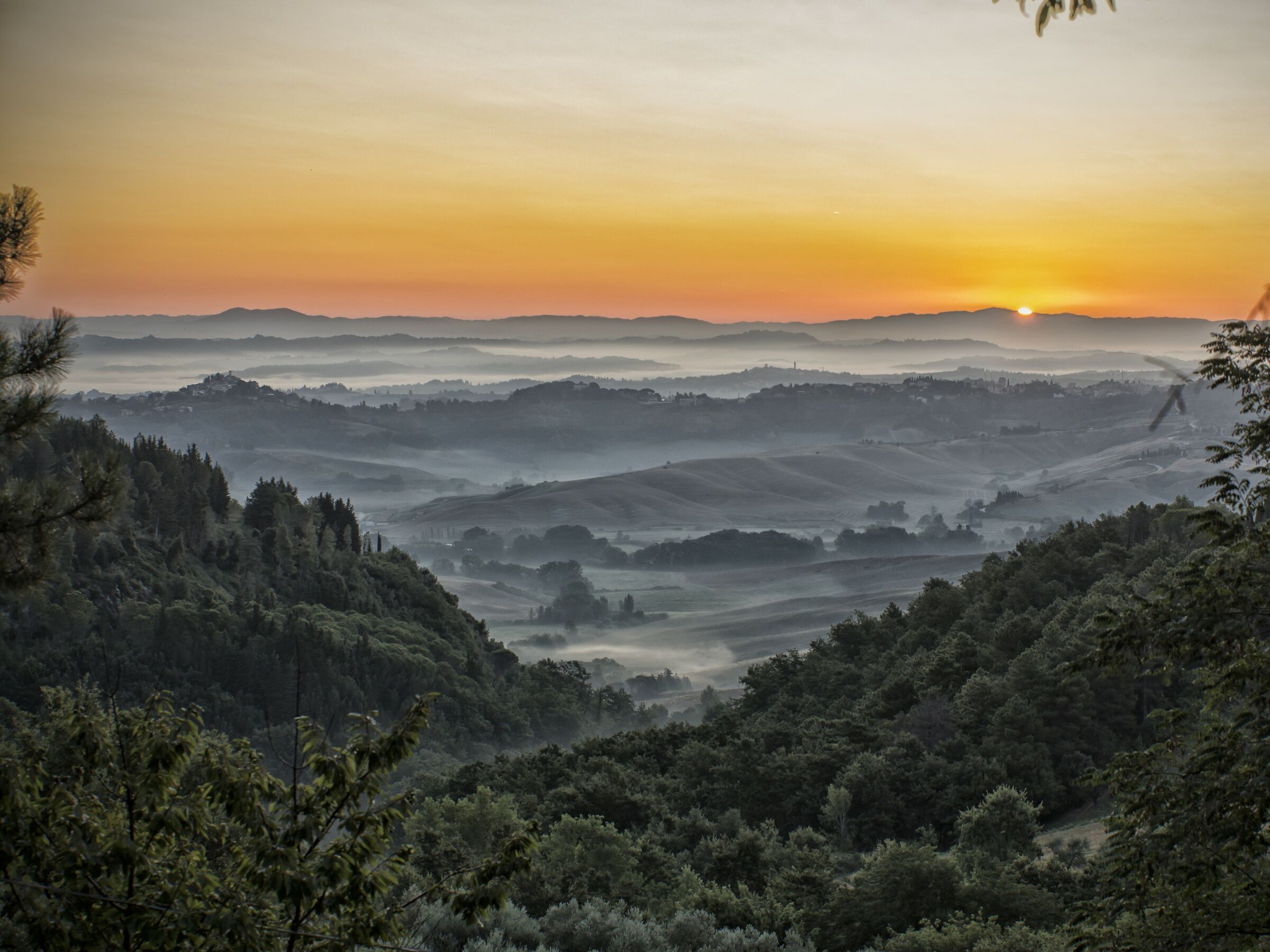sunrise on the Pisane Hills...