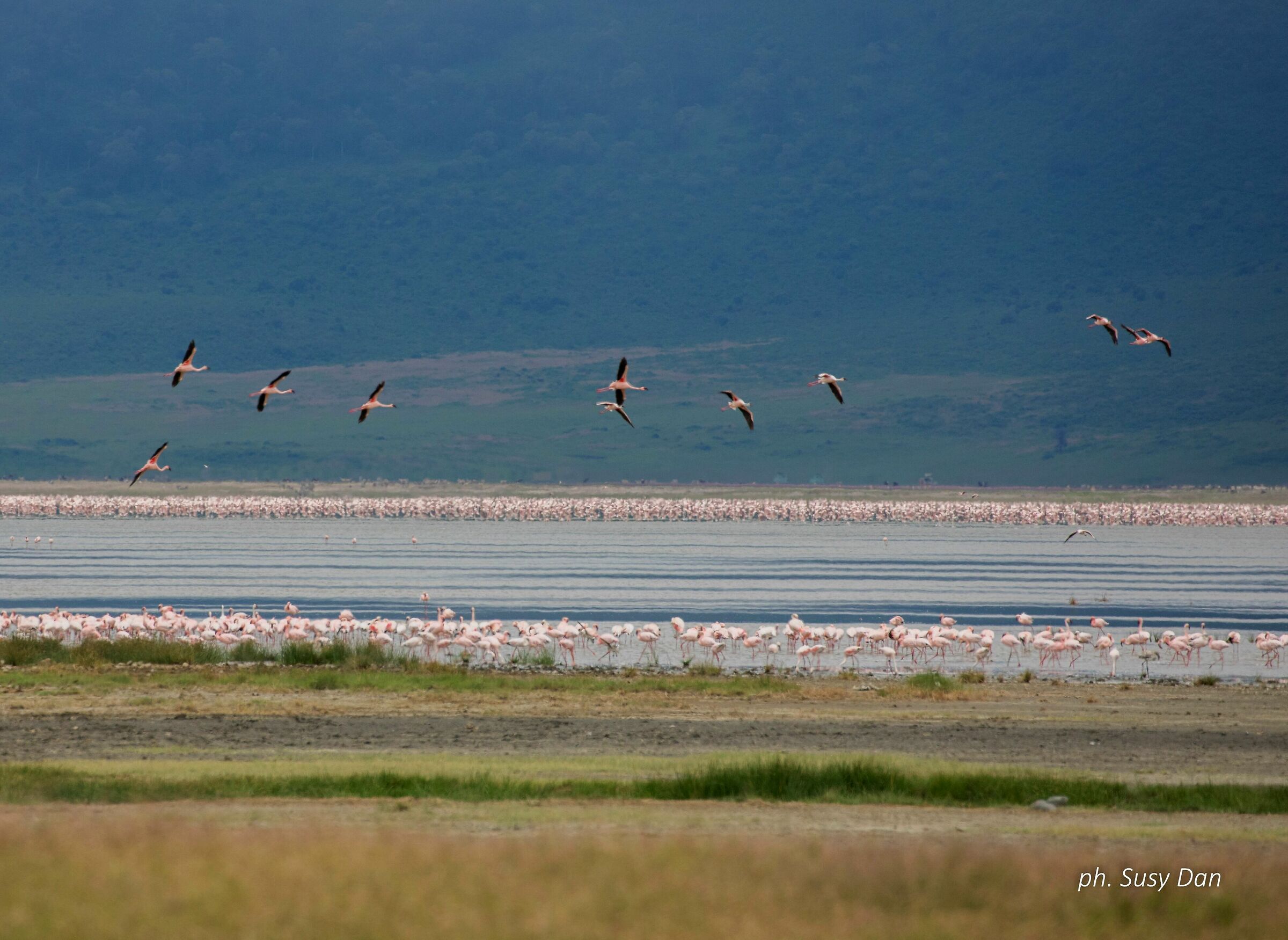 Ngorongoro lake...
