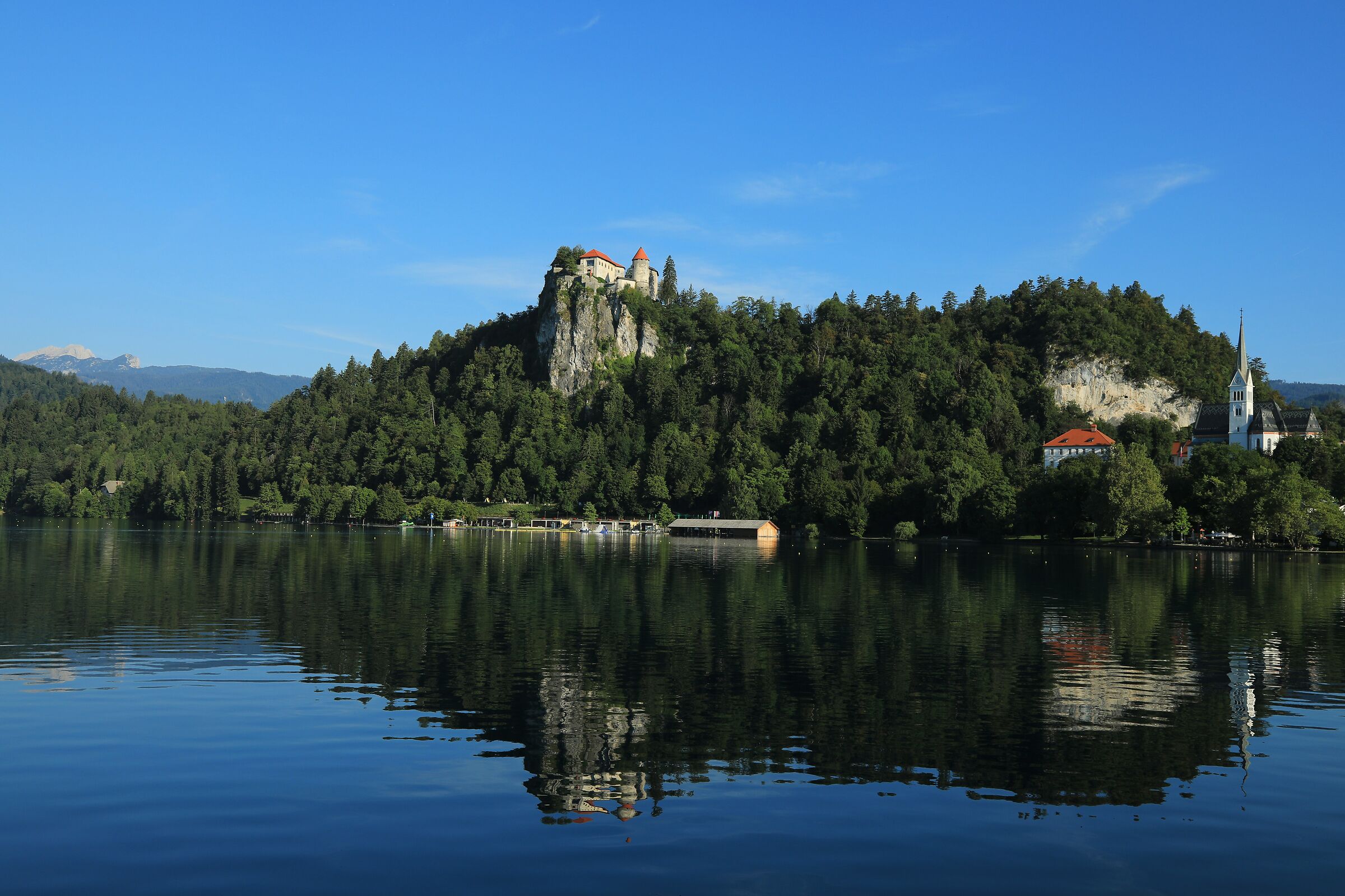 Morning in Bled...
