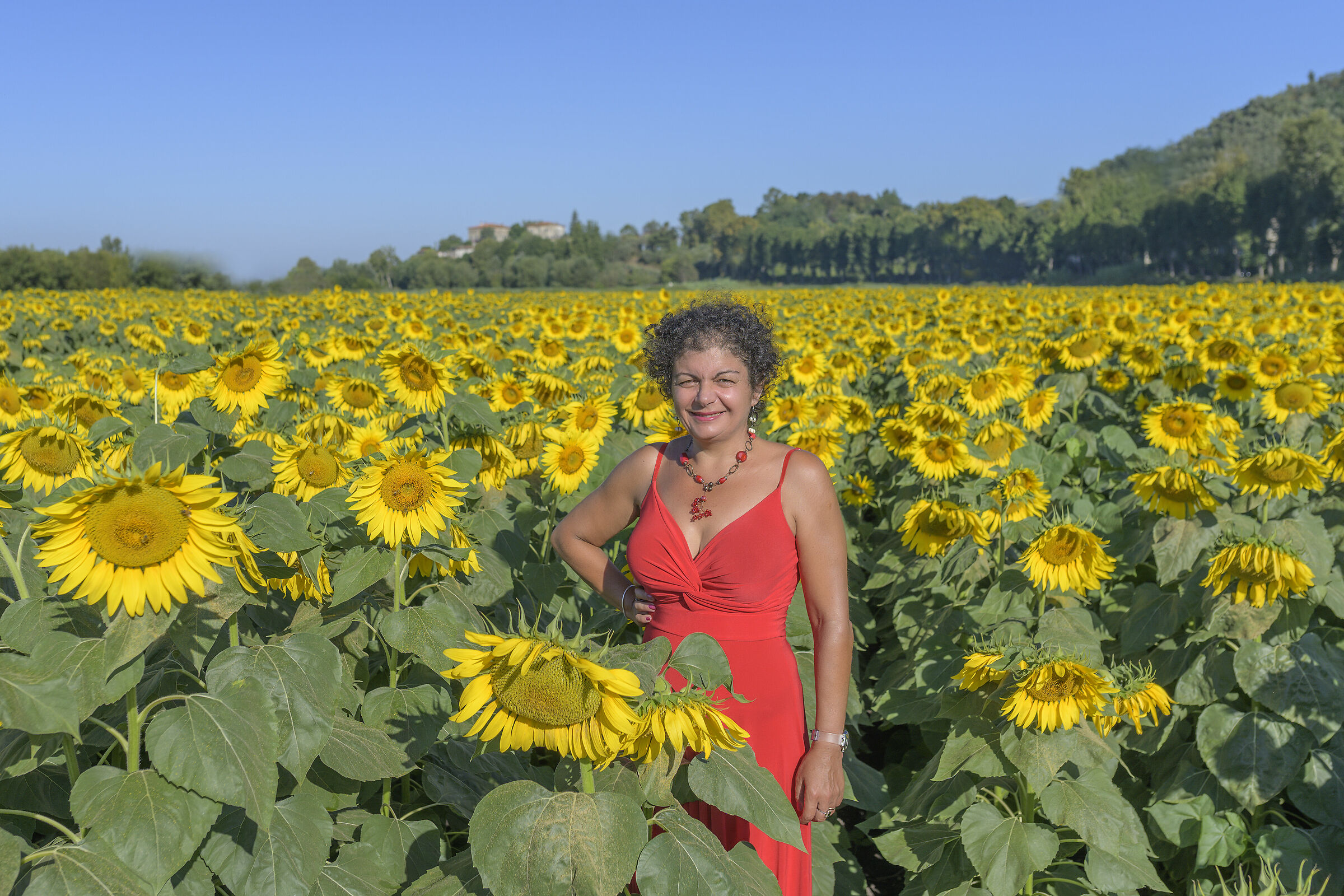 Wife and sunflowers...