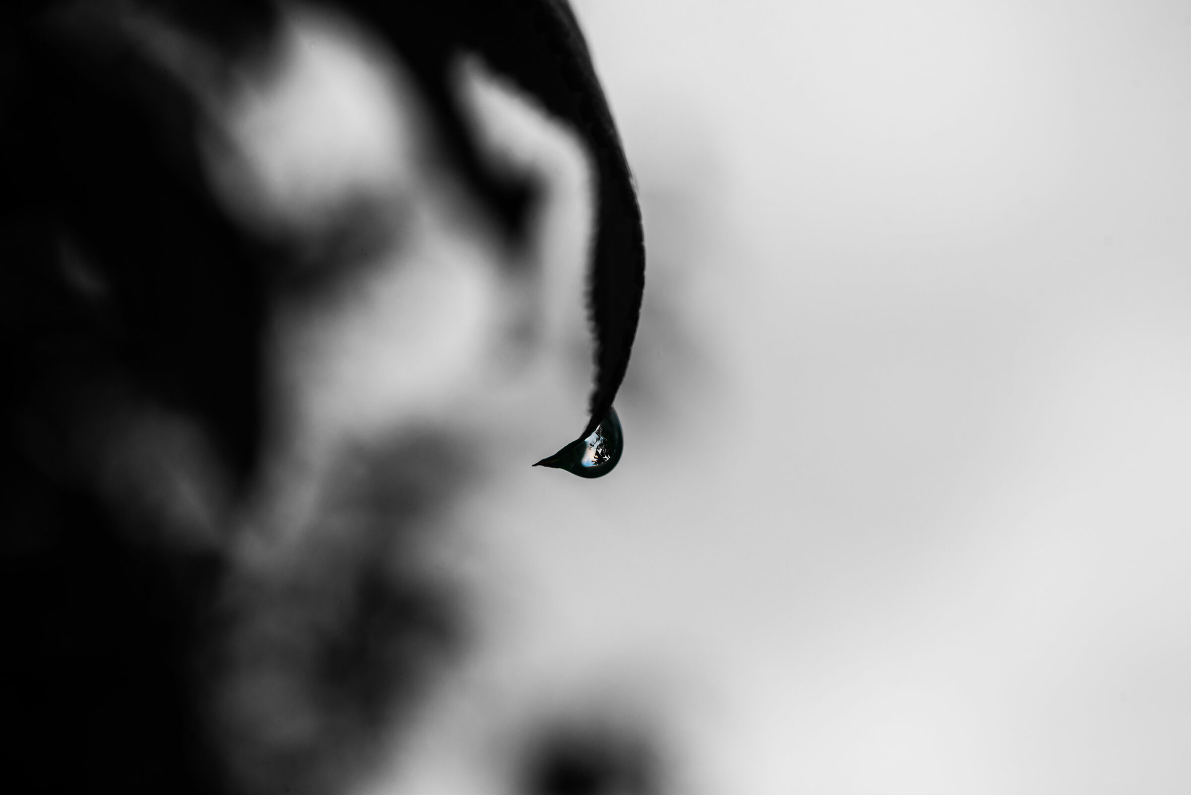 Your face in the drop......