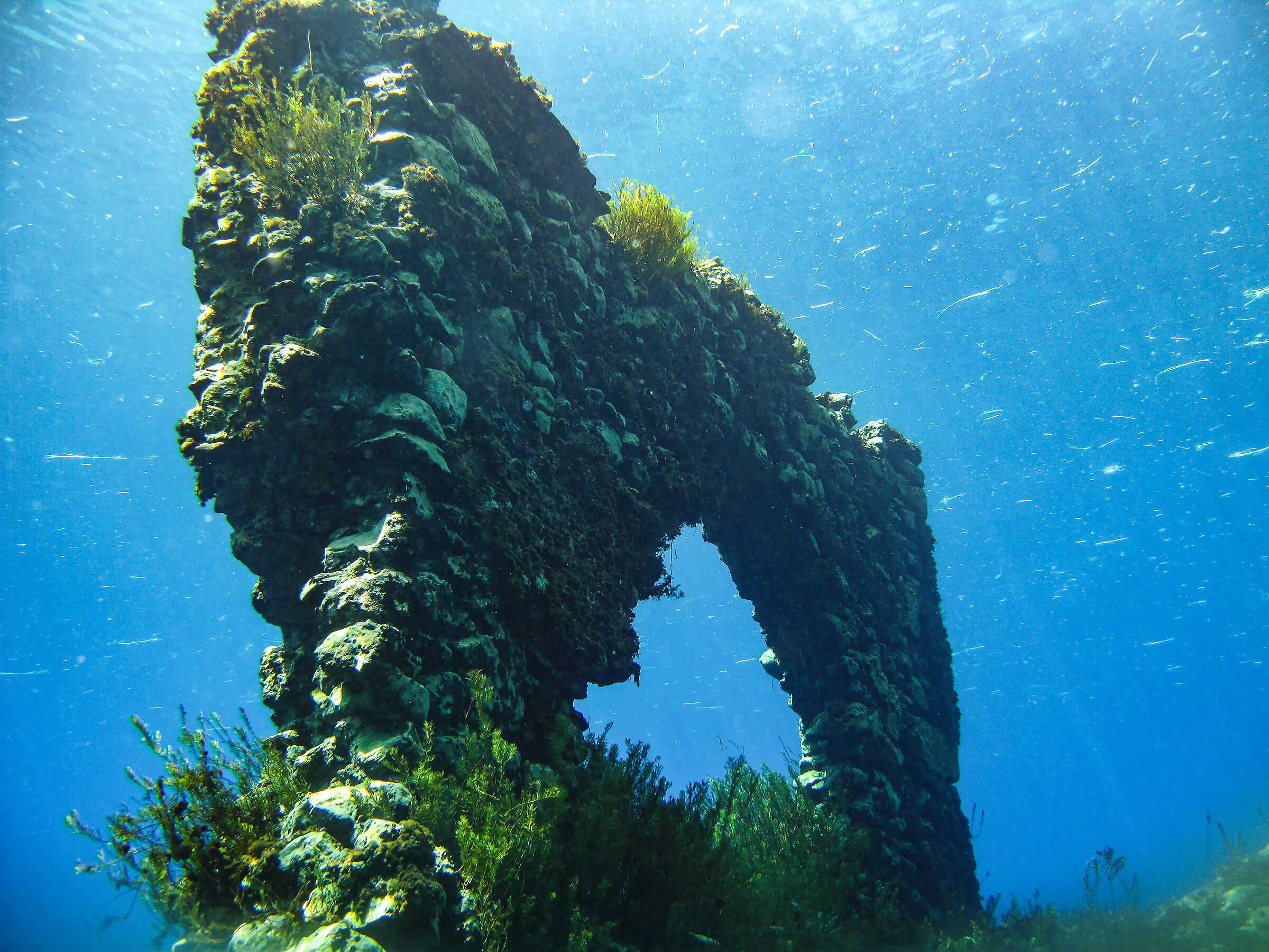 Ancient submerged walls...