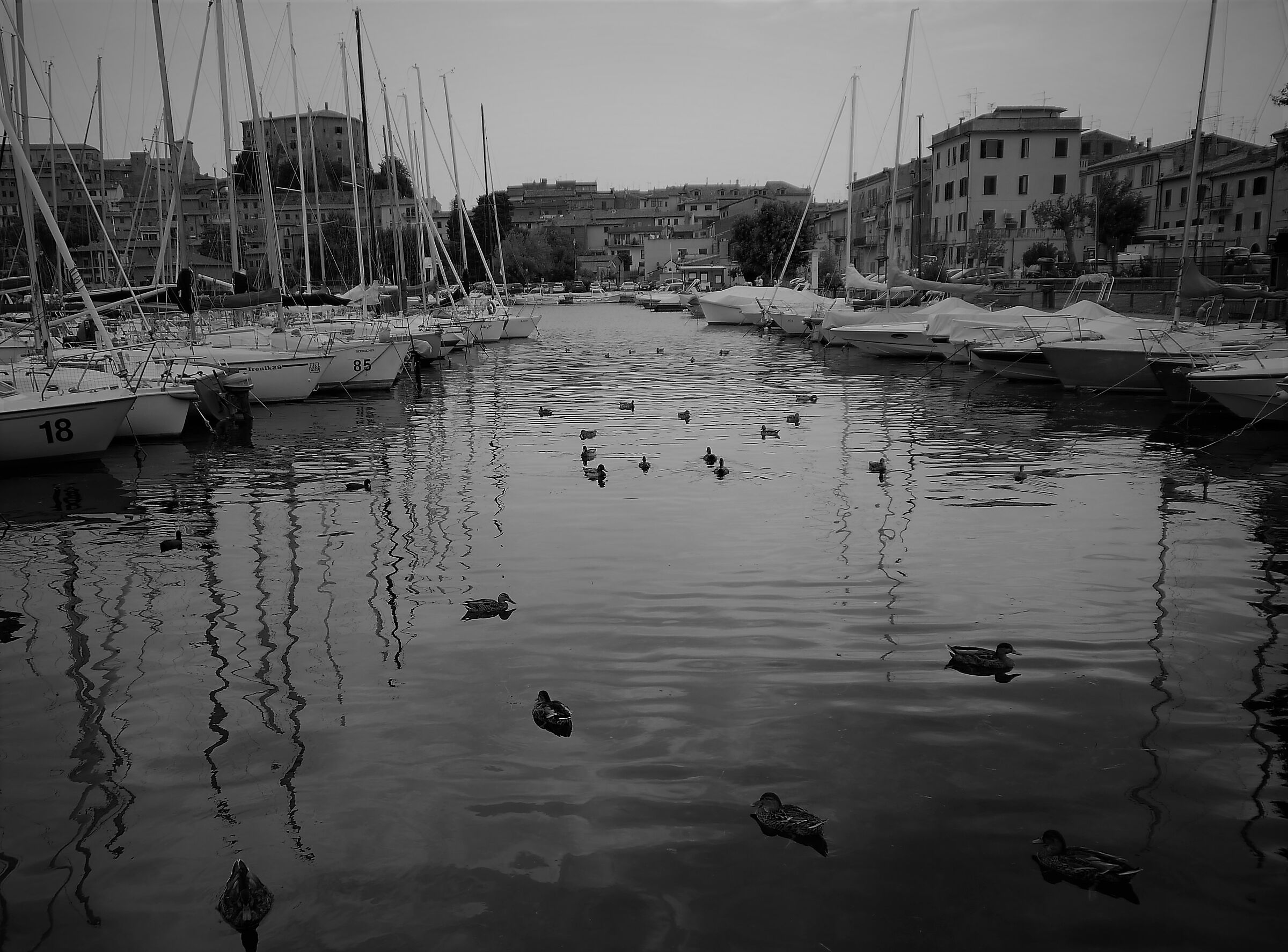 Untitled Photo...