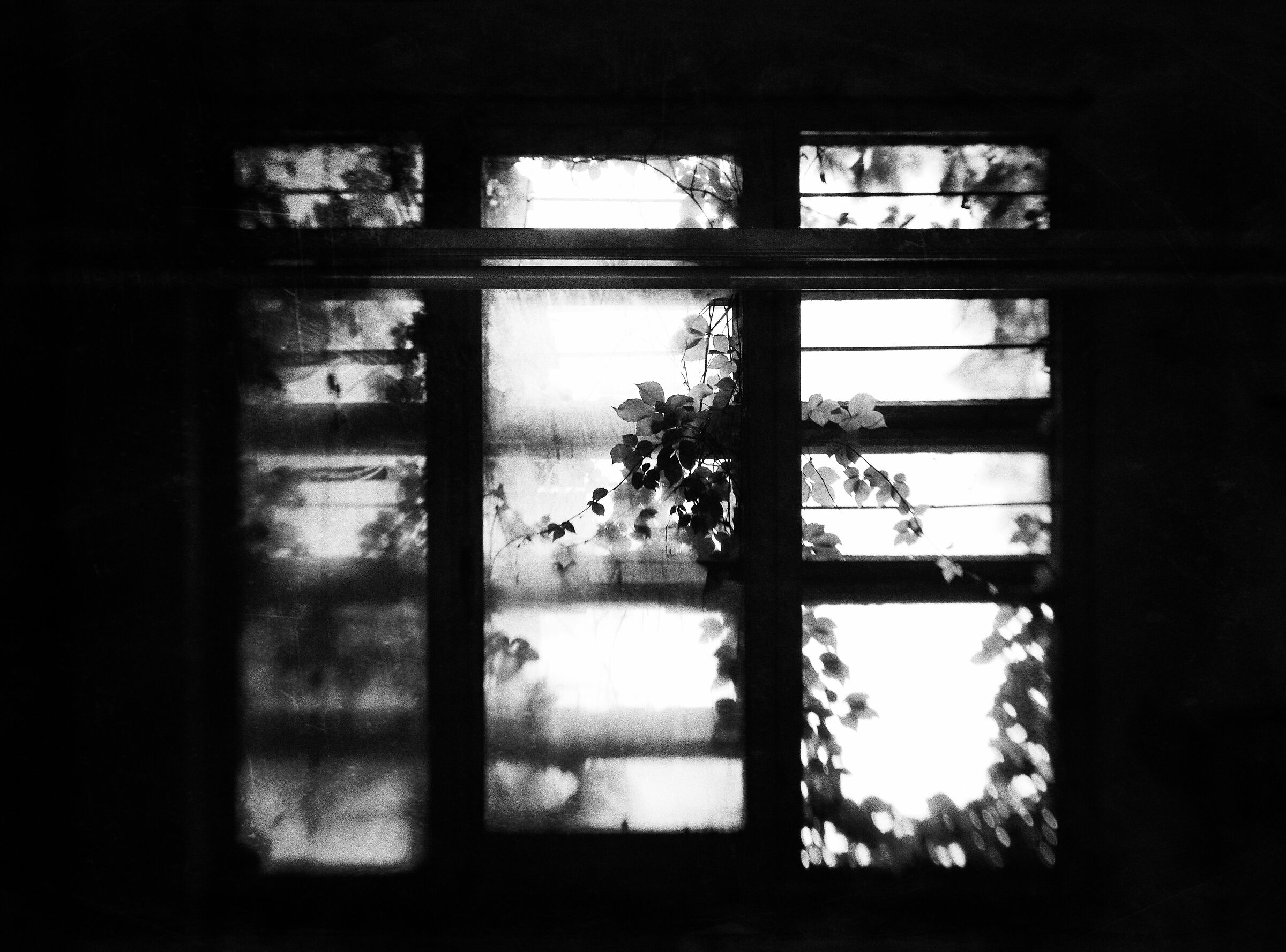 Secret Window...