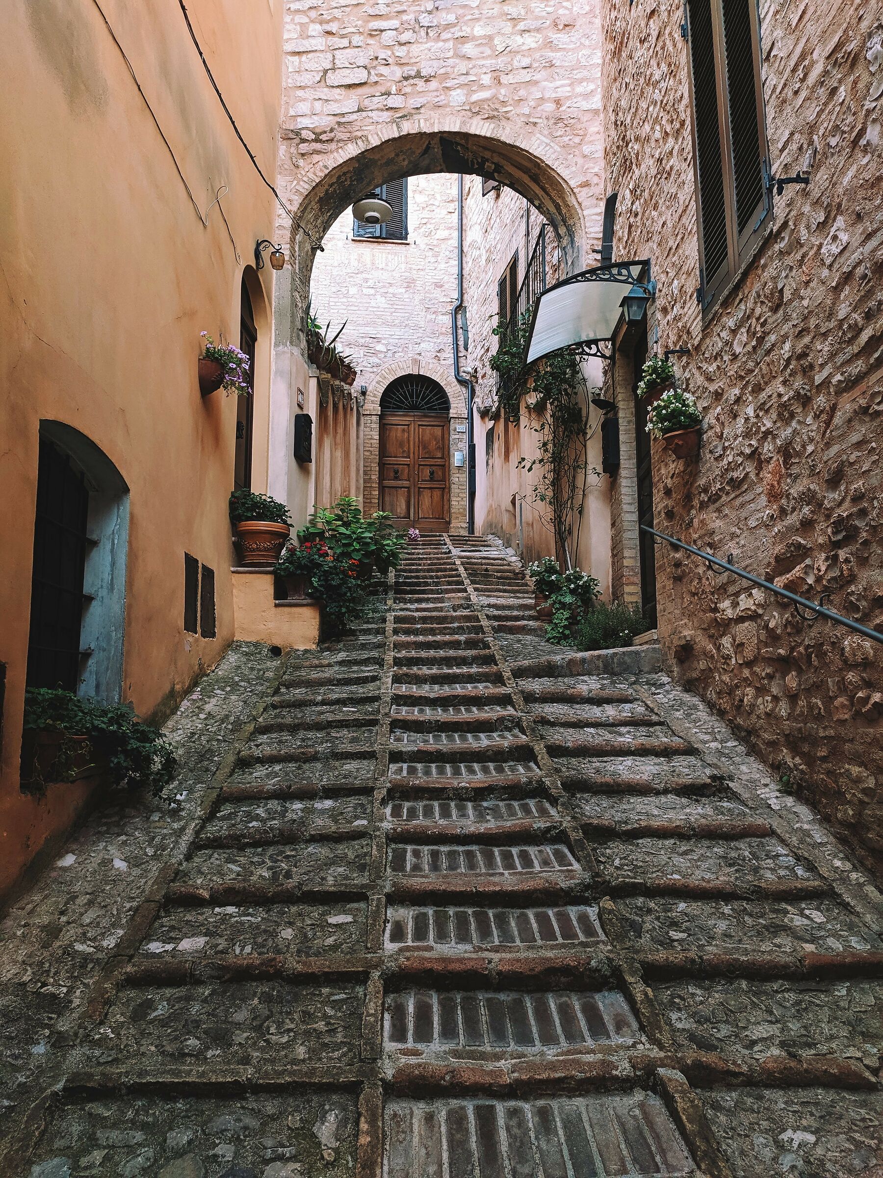 Assisi #1...