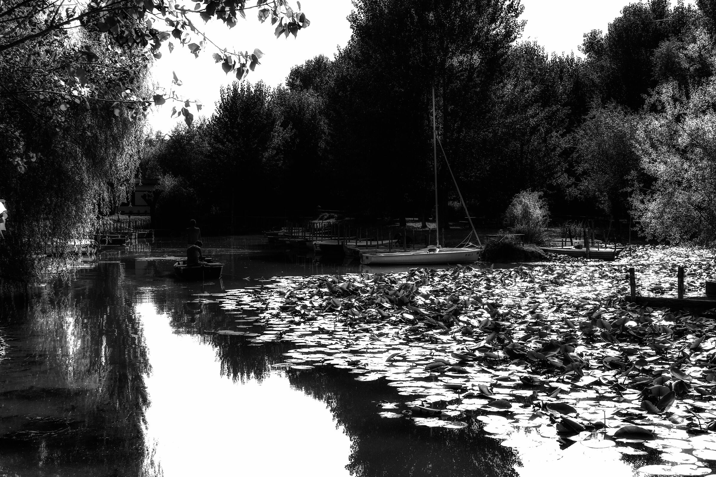 lago di chiusi (si) un molo...