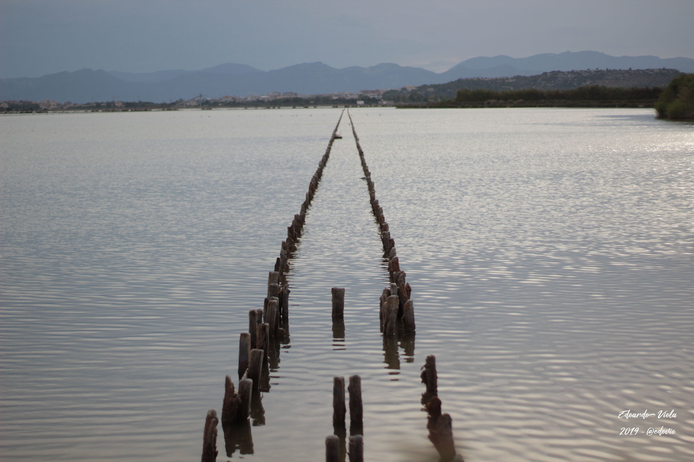 Lo stagno verso l'infinito...