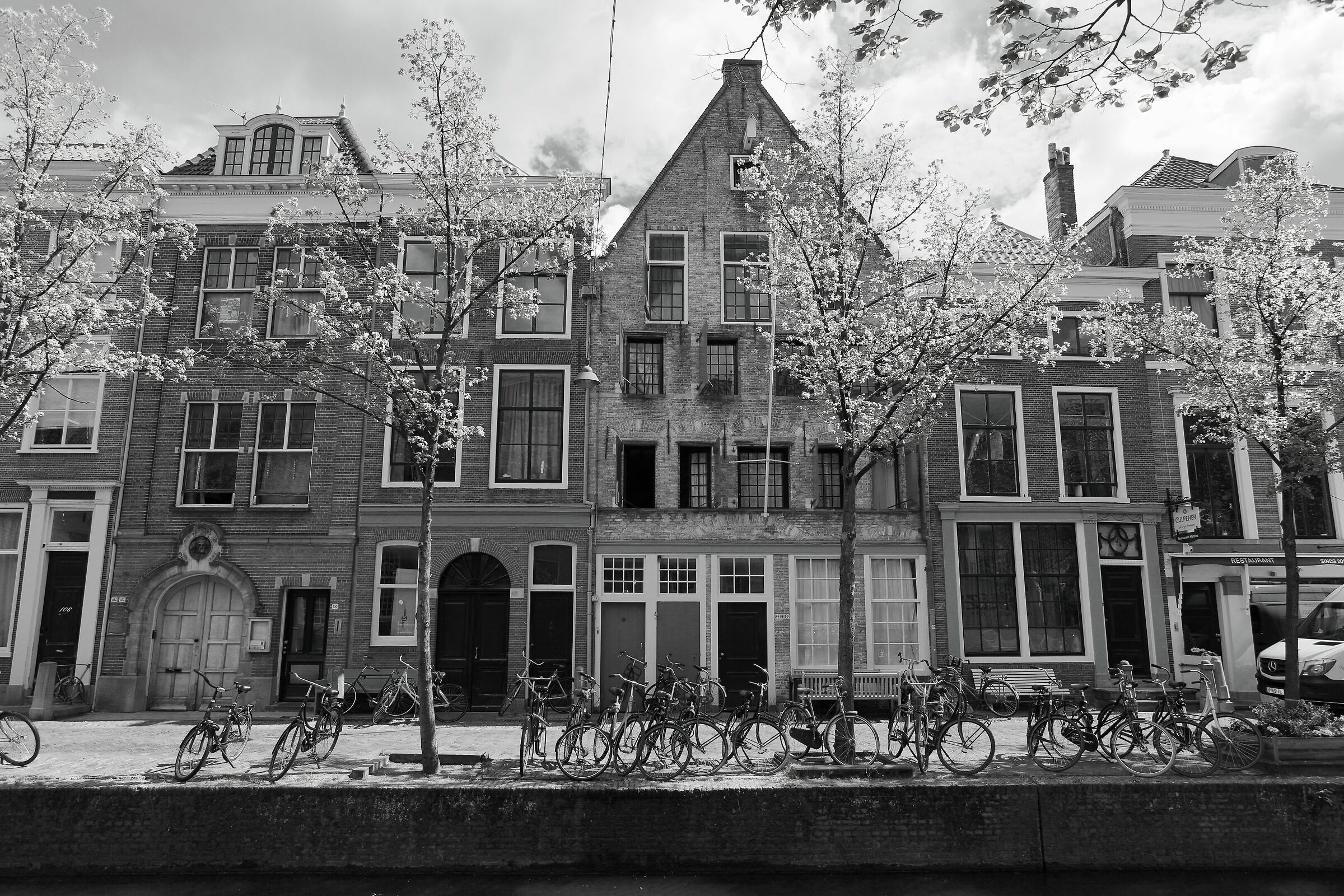 Delft...