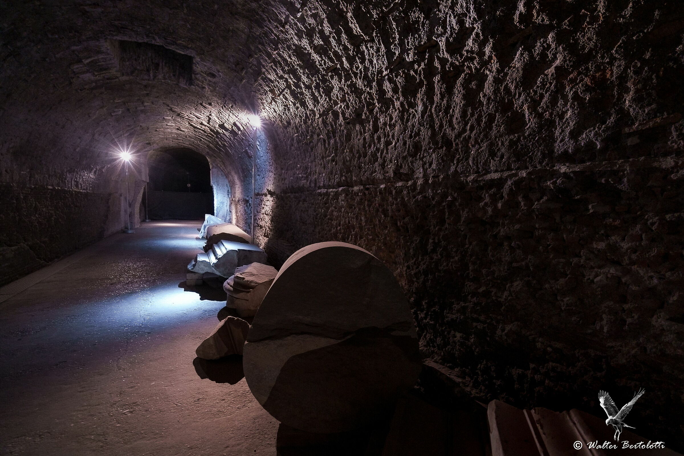 i sotterranei di Caracalla...