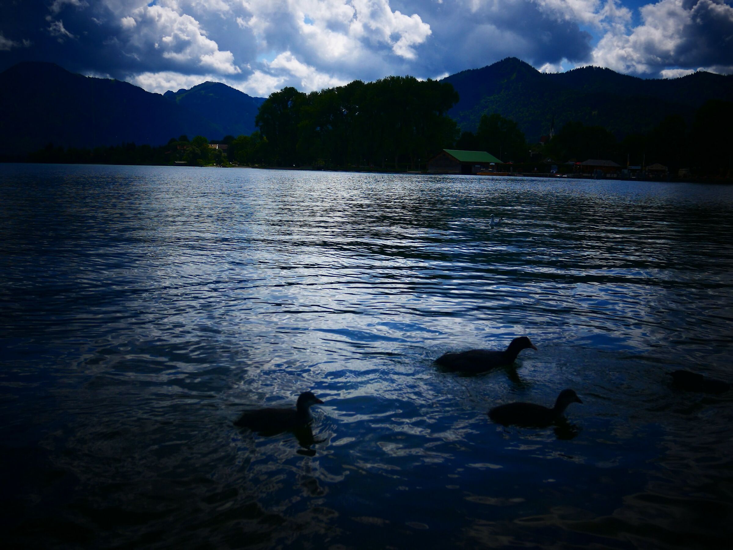 the stillness of the lake (baviera)...