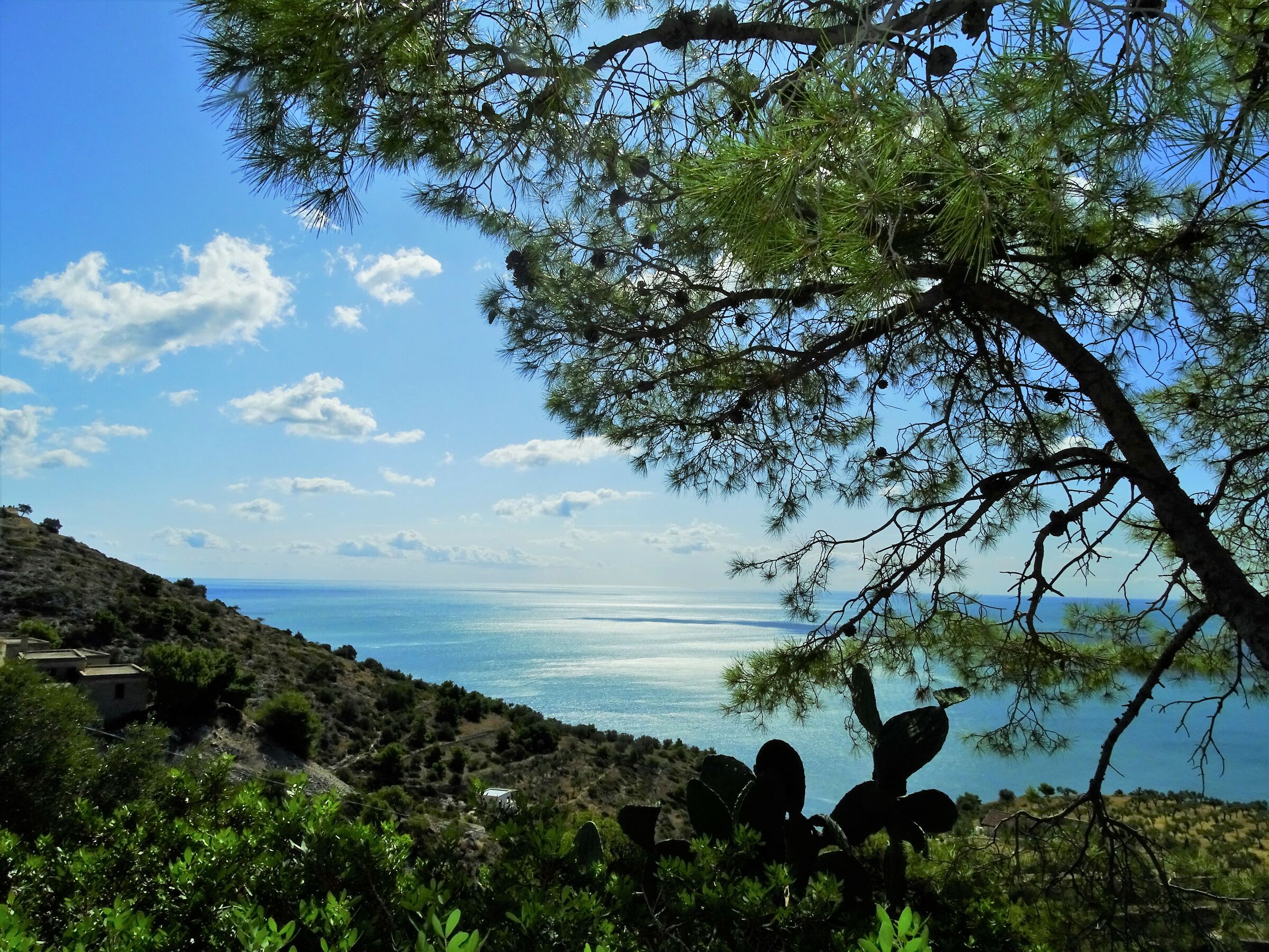 A glimpse of the Gargano...