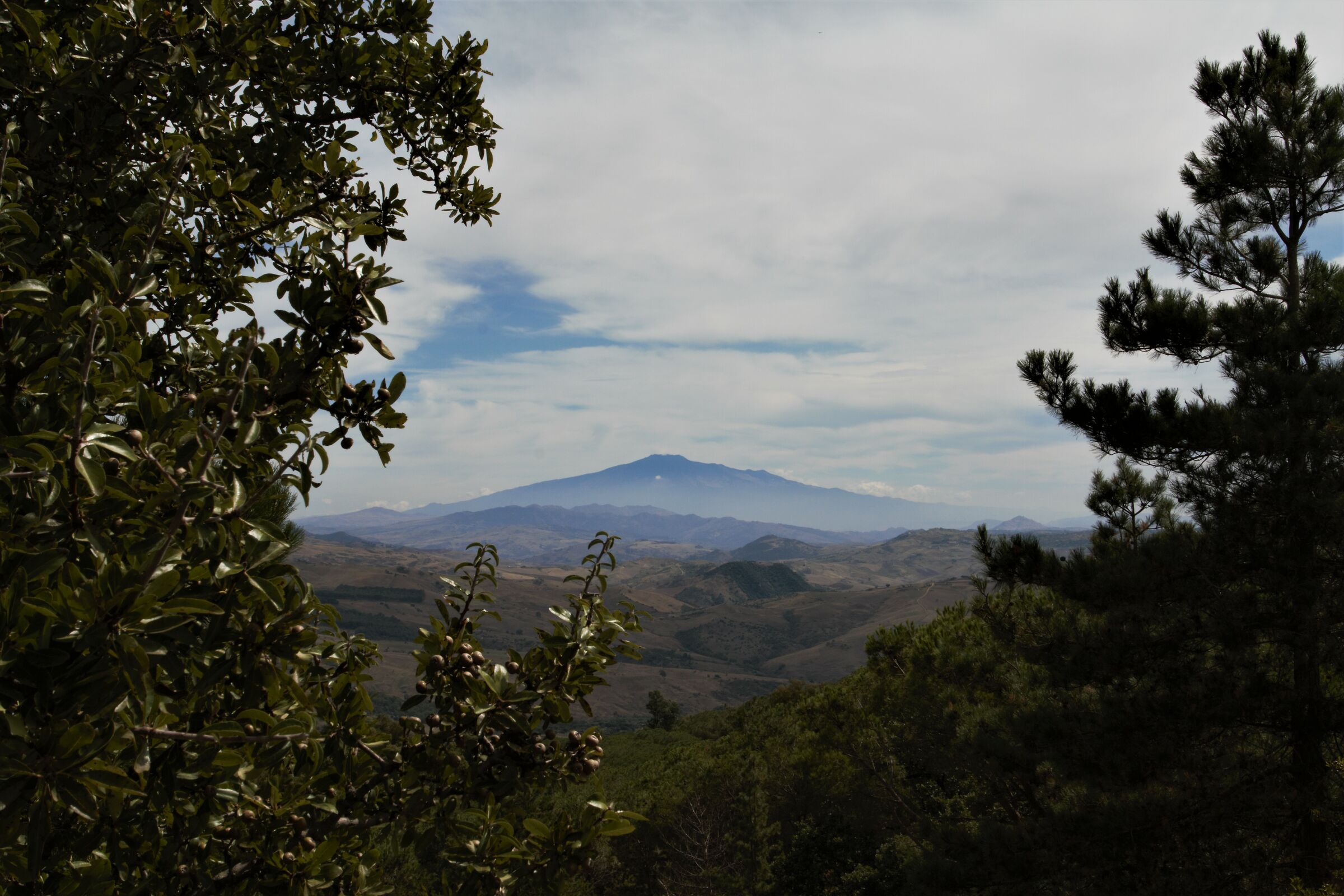 Mount Etna as seen from Mount Altesina...