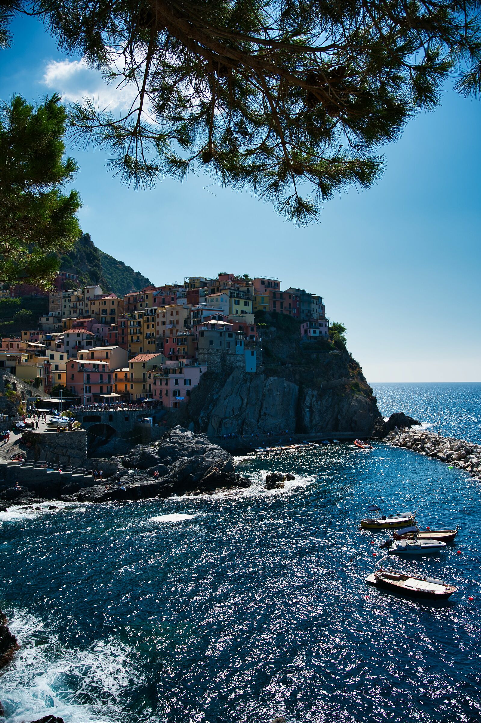 View of Manarola...