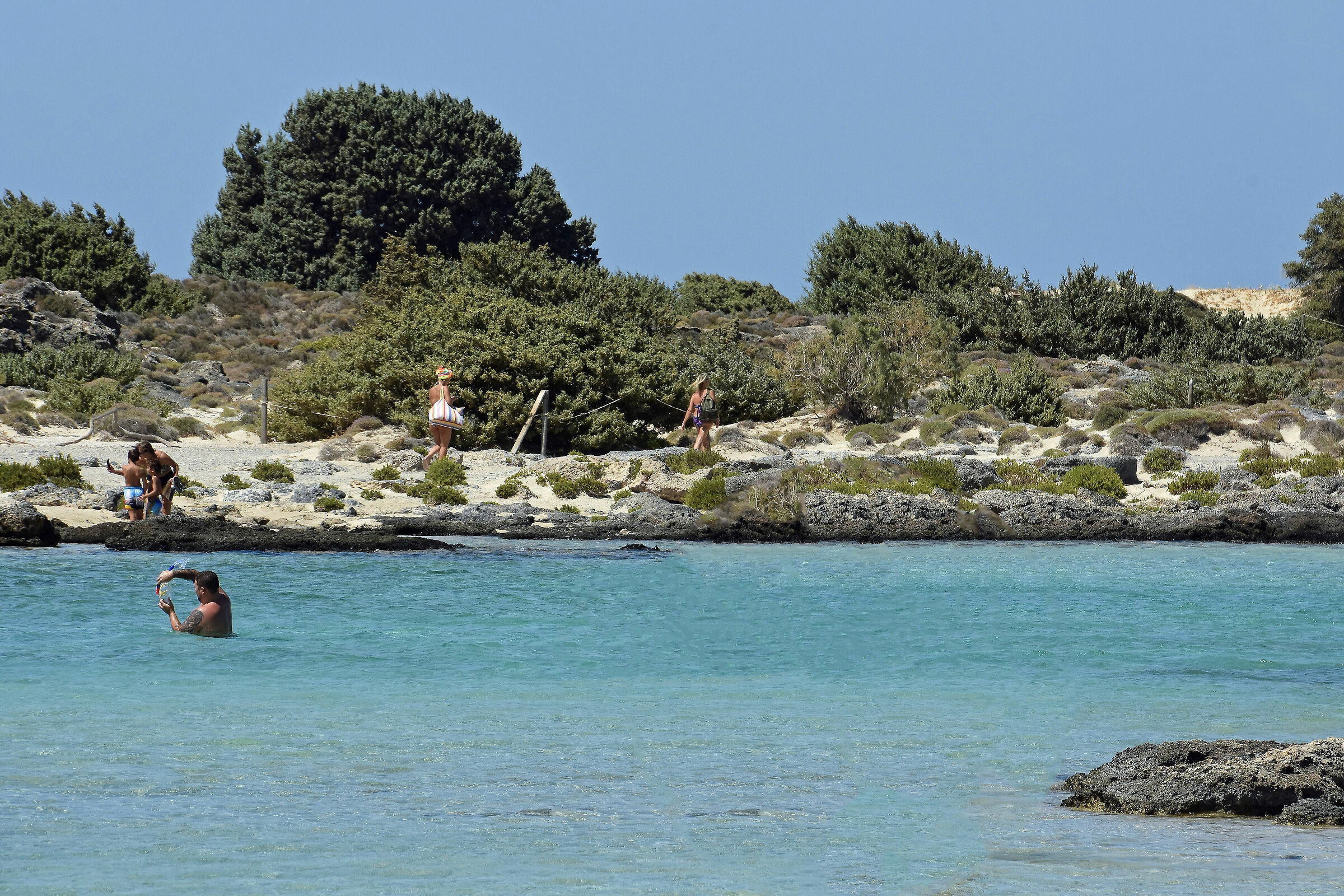 Creta  spiaggia di Elafonissi...