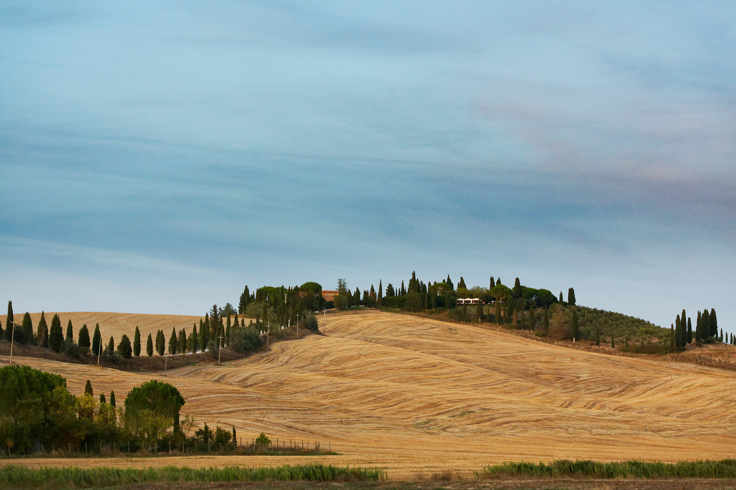 Sienese Hills, Oil on canvas...
