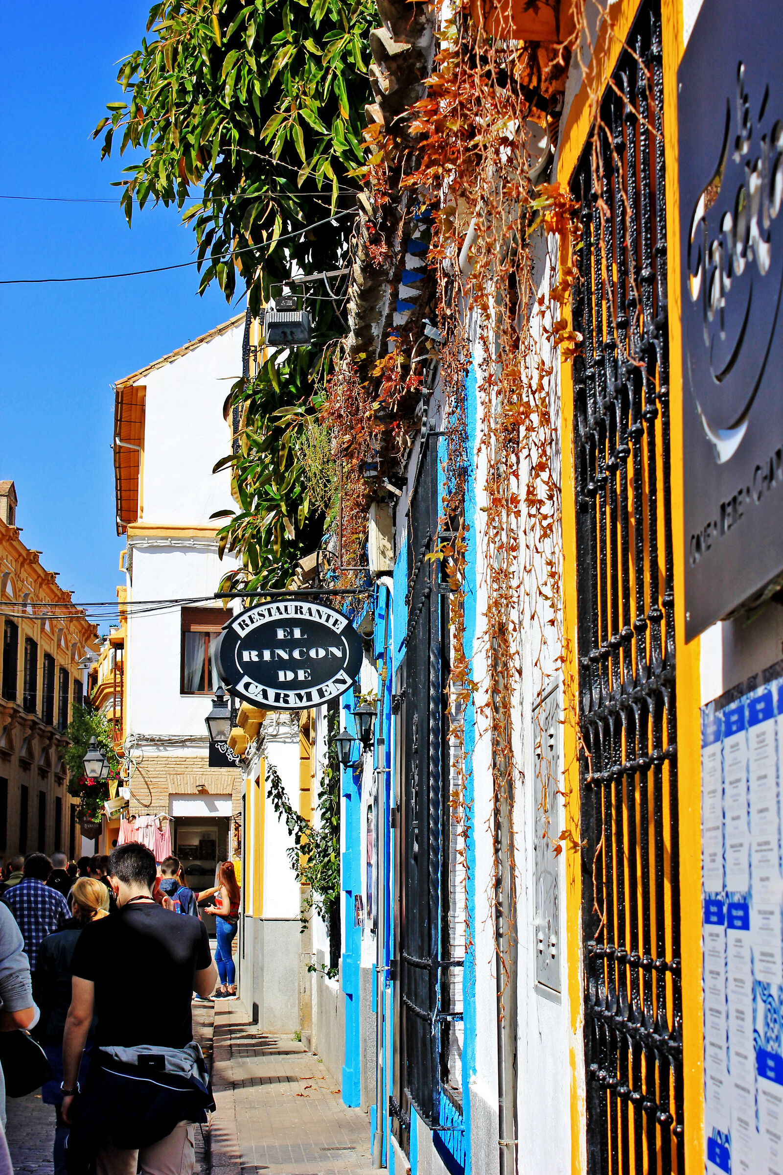 [ Granada ]...
