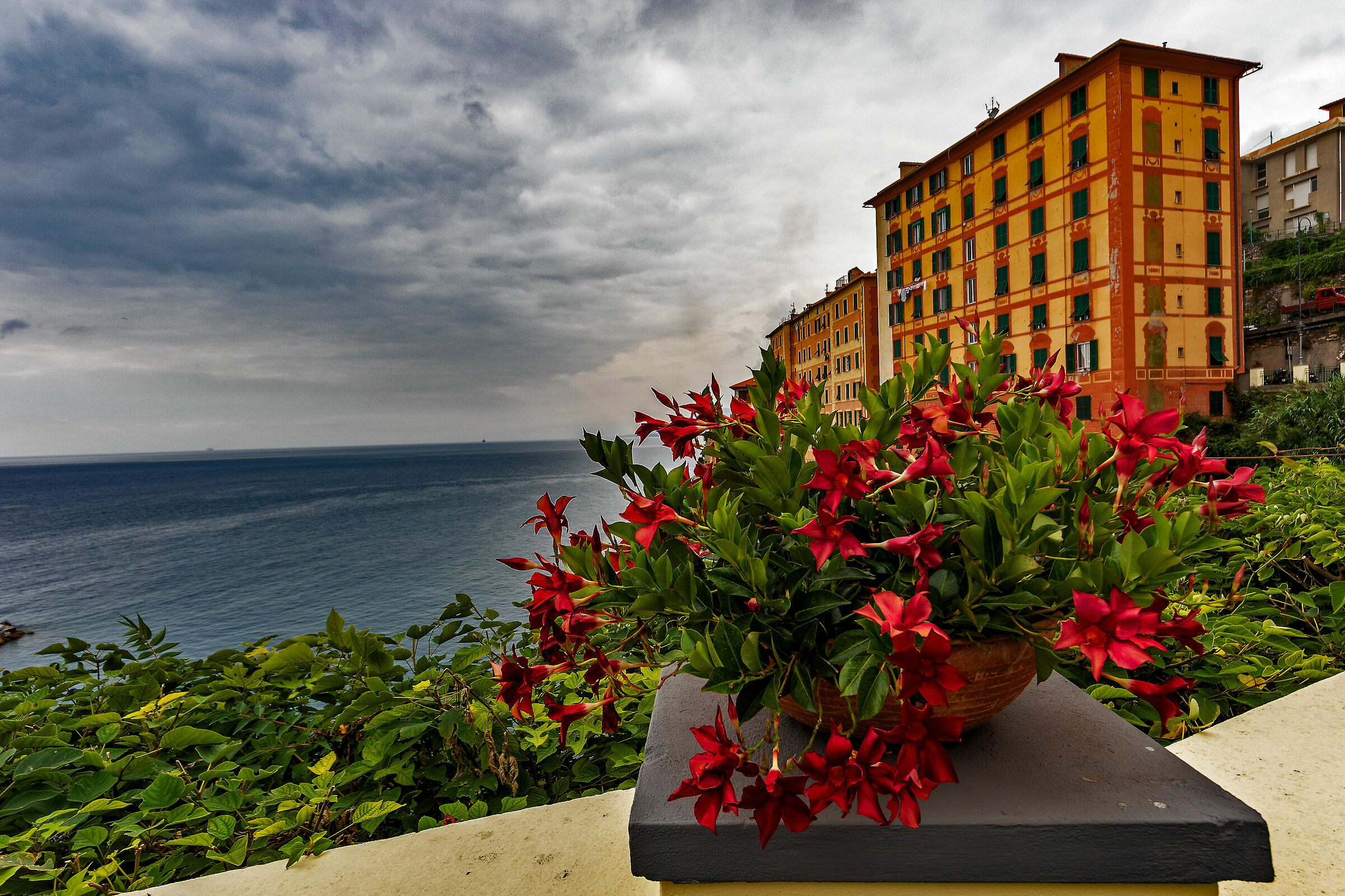 Liguria land of contrasts...