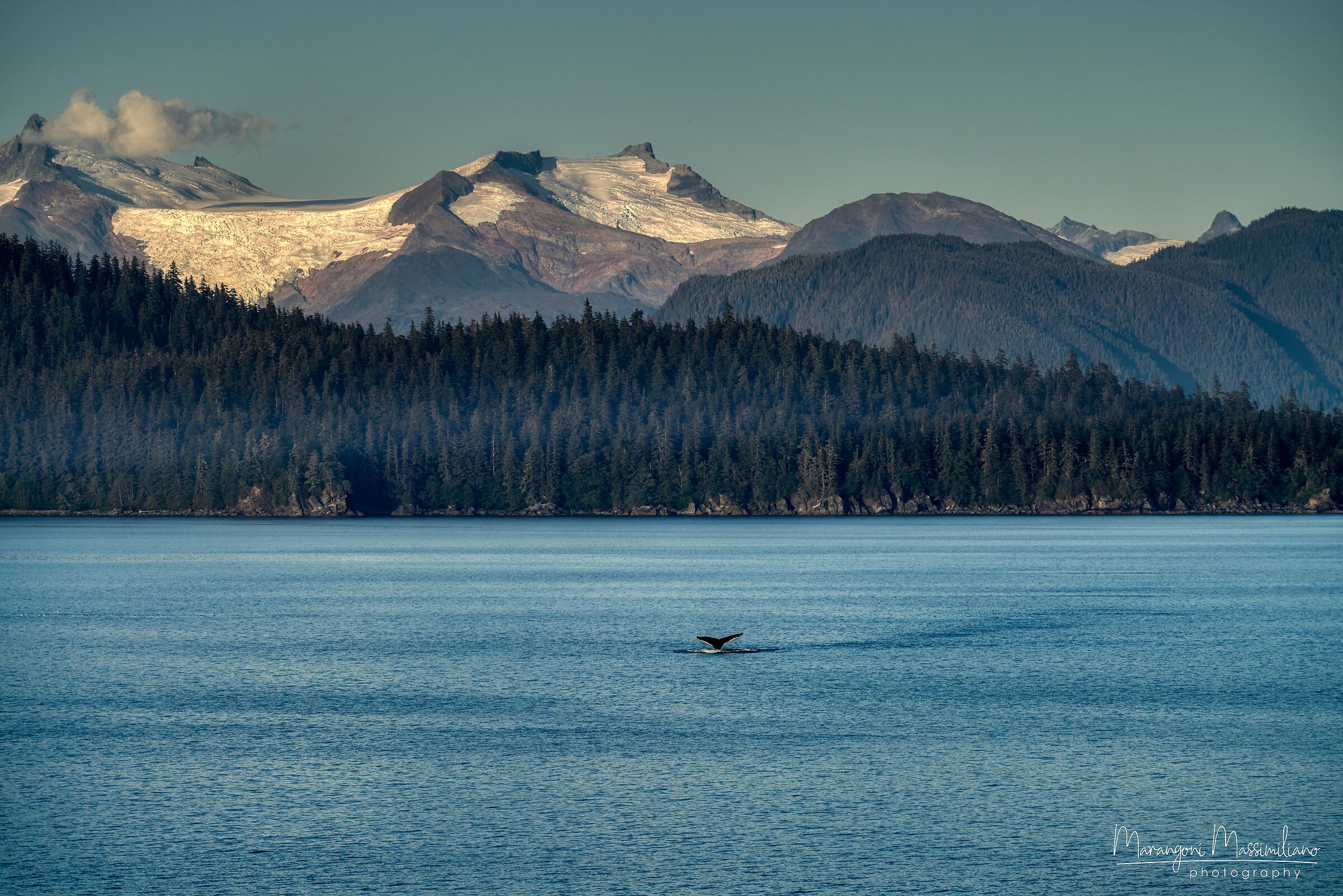 2019 Alaska Whales...