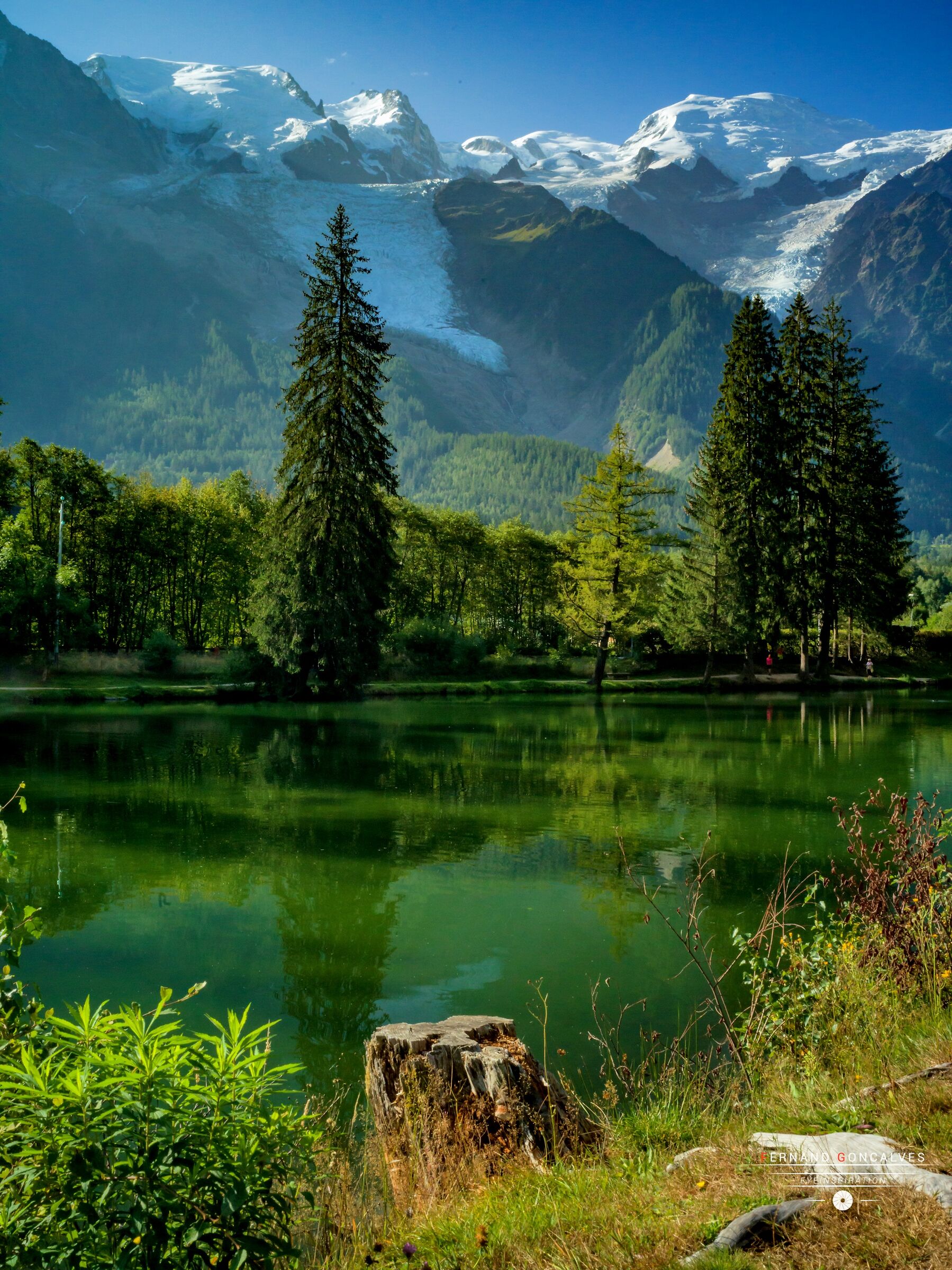 Lac des Gaillands - Ghiacciaio Mont-Blanc des Bossons...
