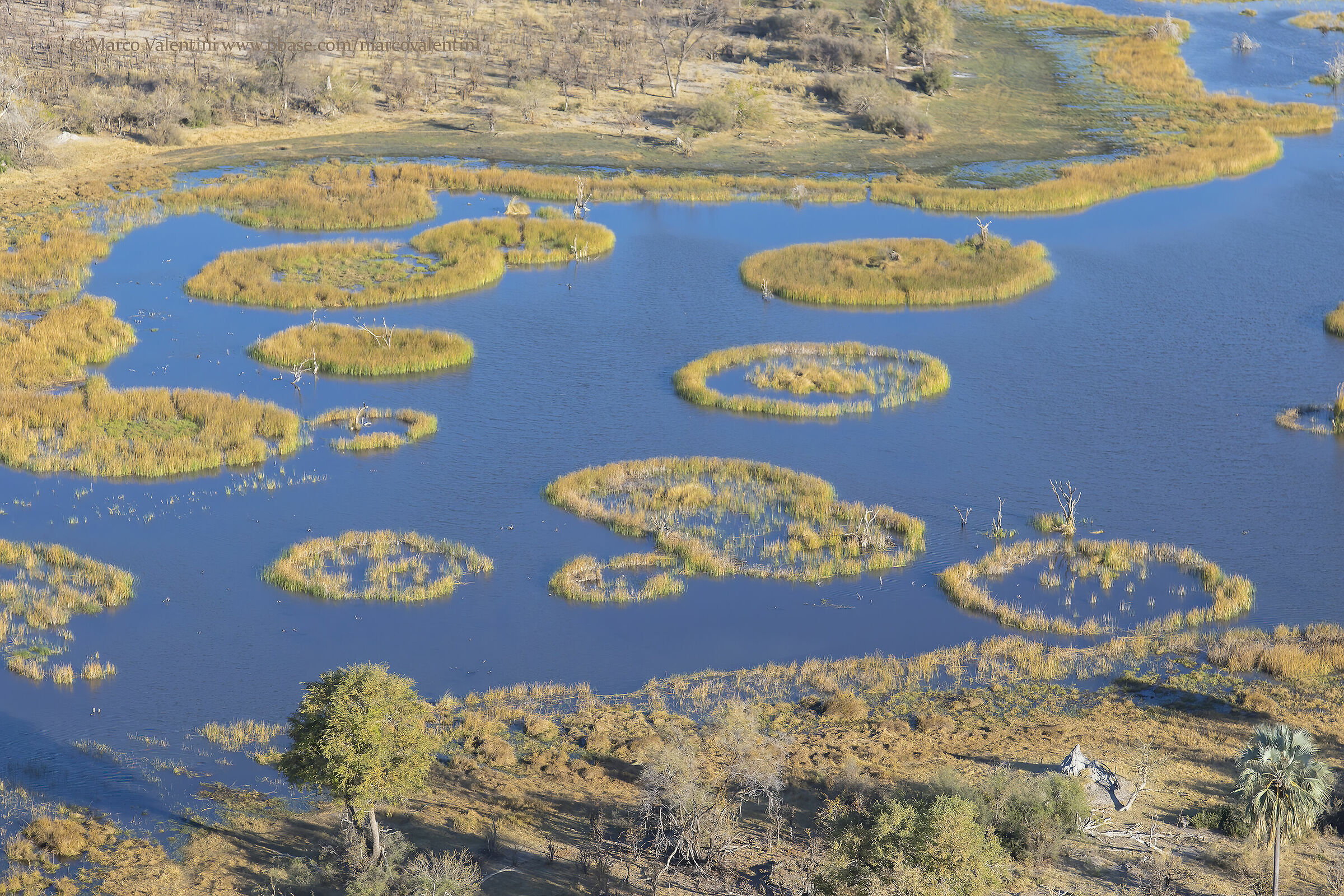 Okavango...