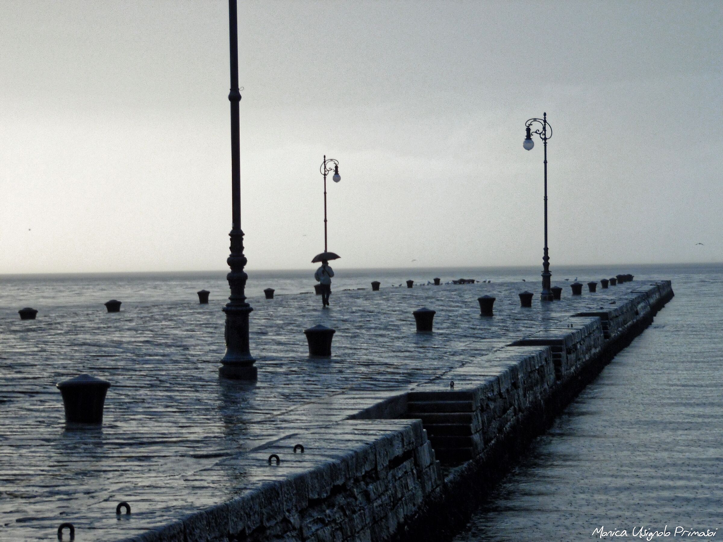 Bold Trieste Pier ...