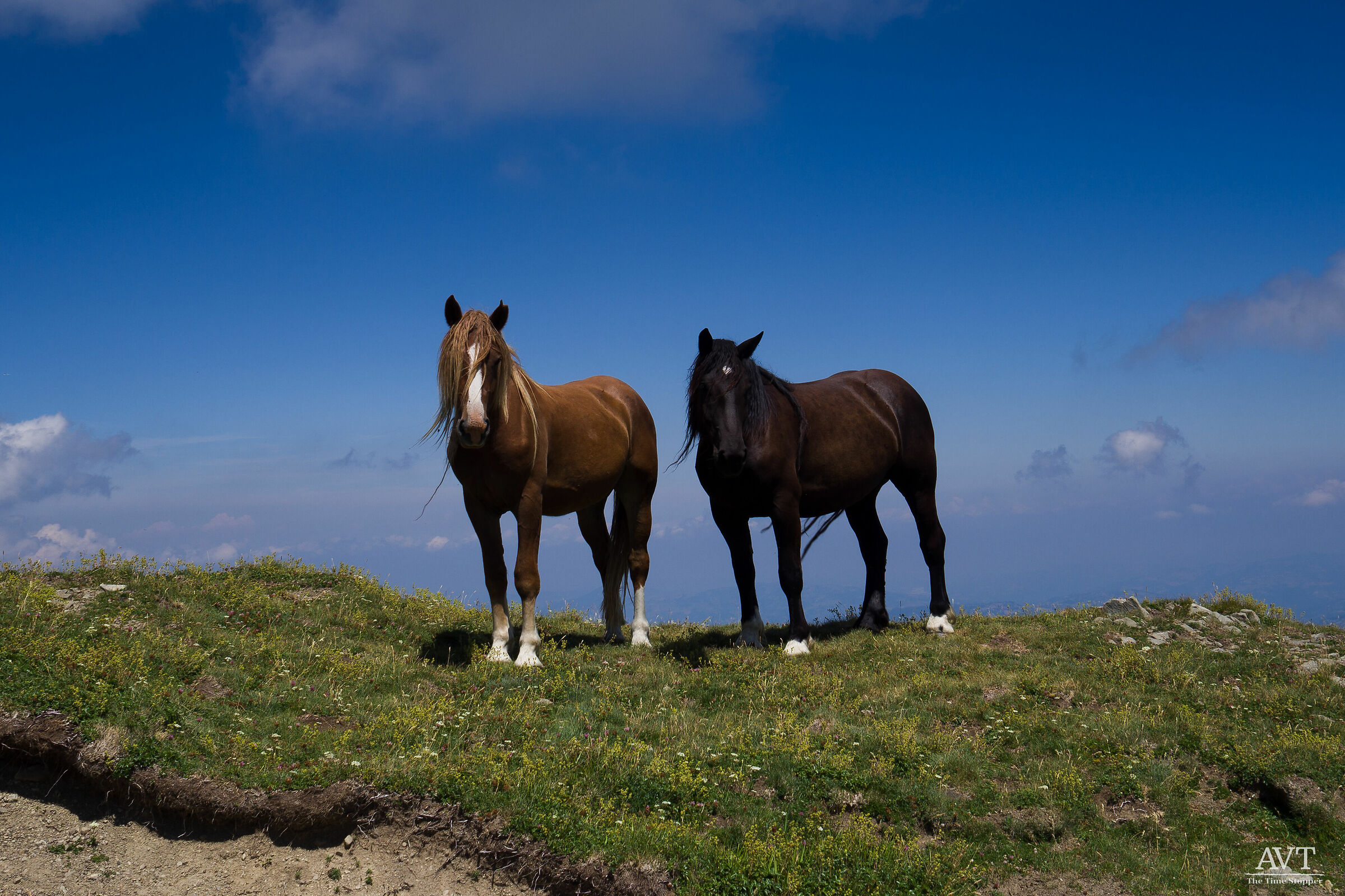 High-altitude meetings...