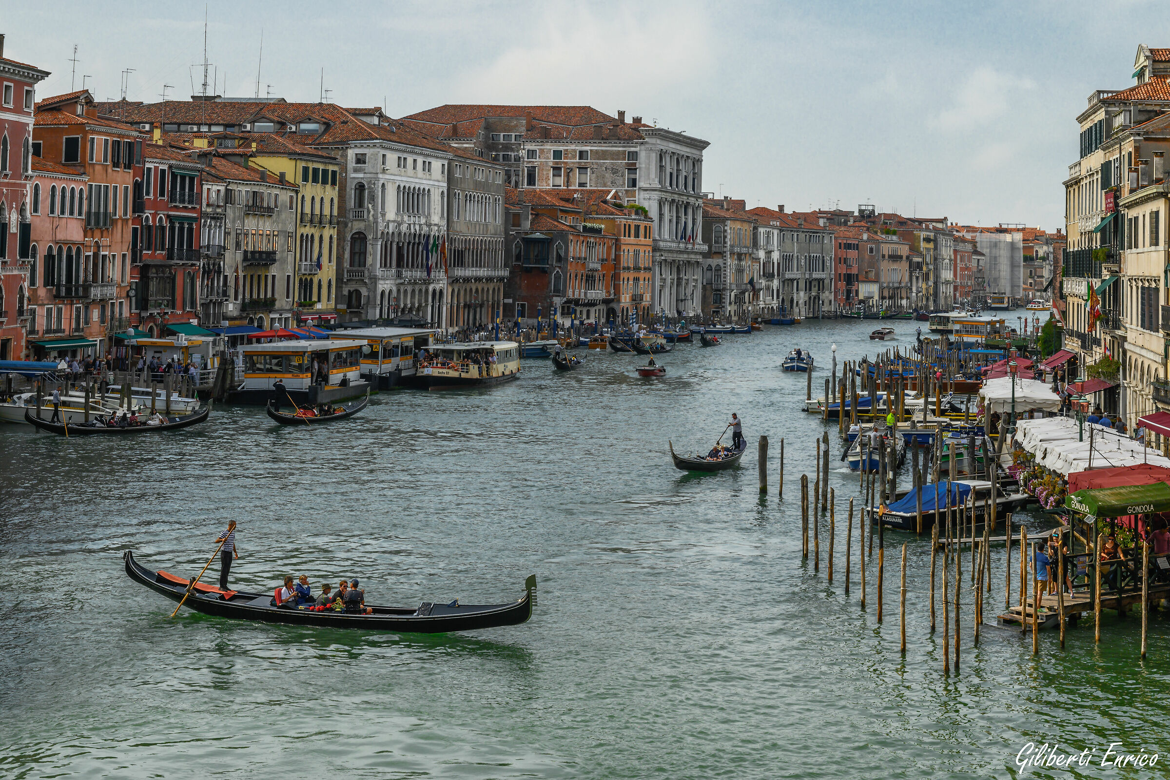 Venice from Rialto...