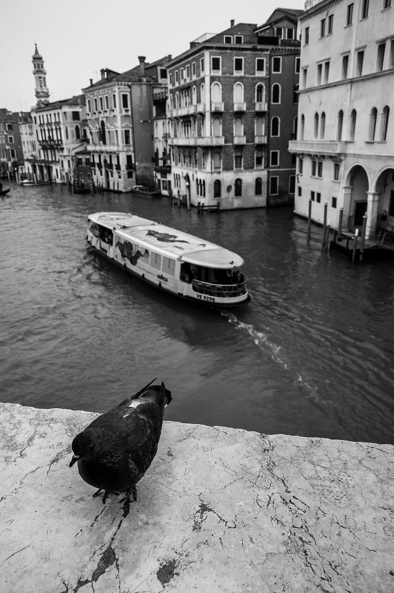 Venezia 2...