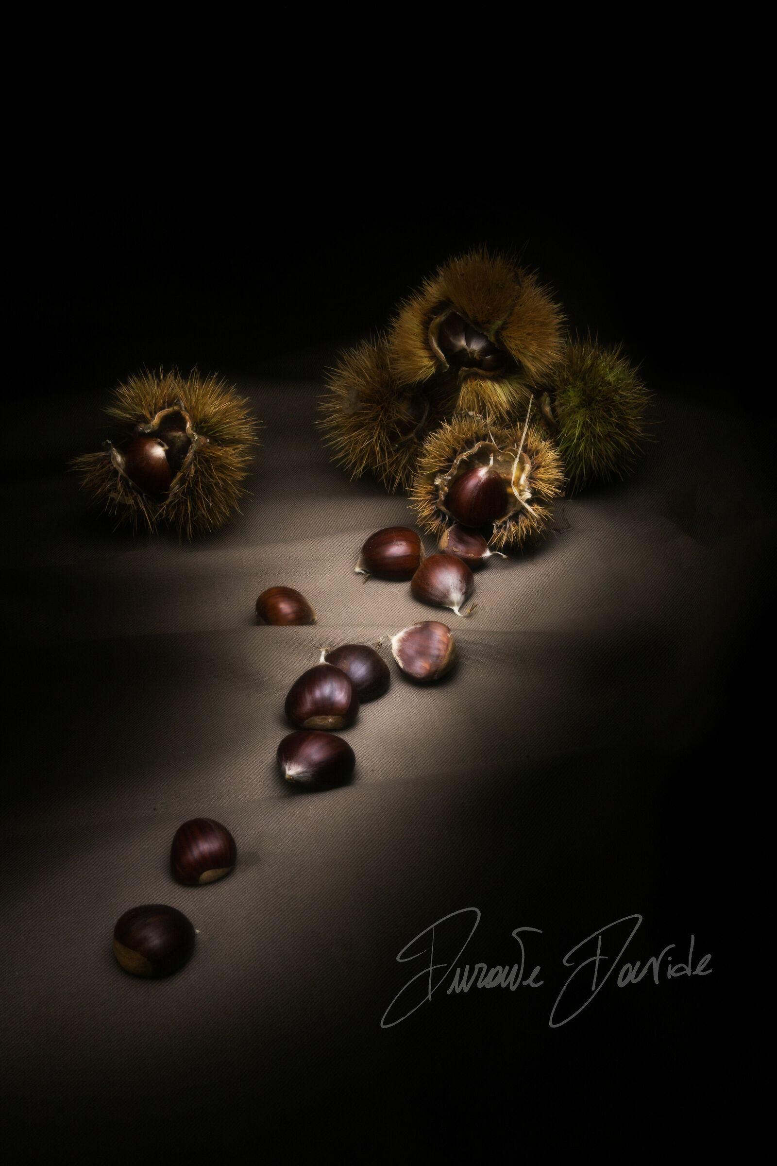 Chestnuts and colors...