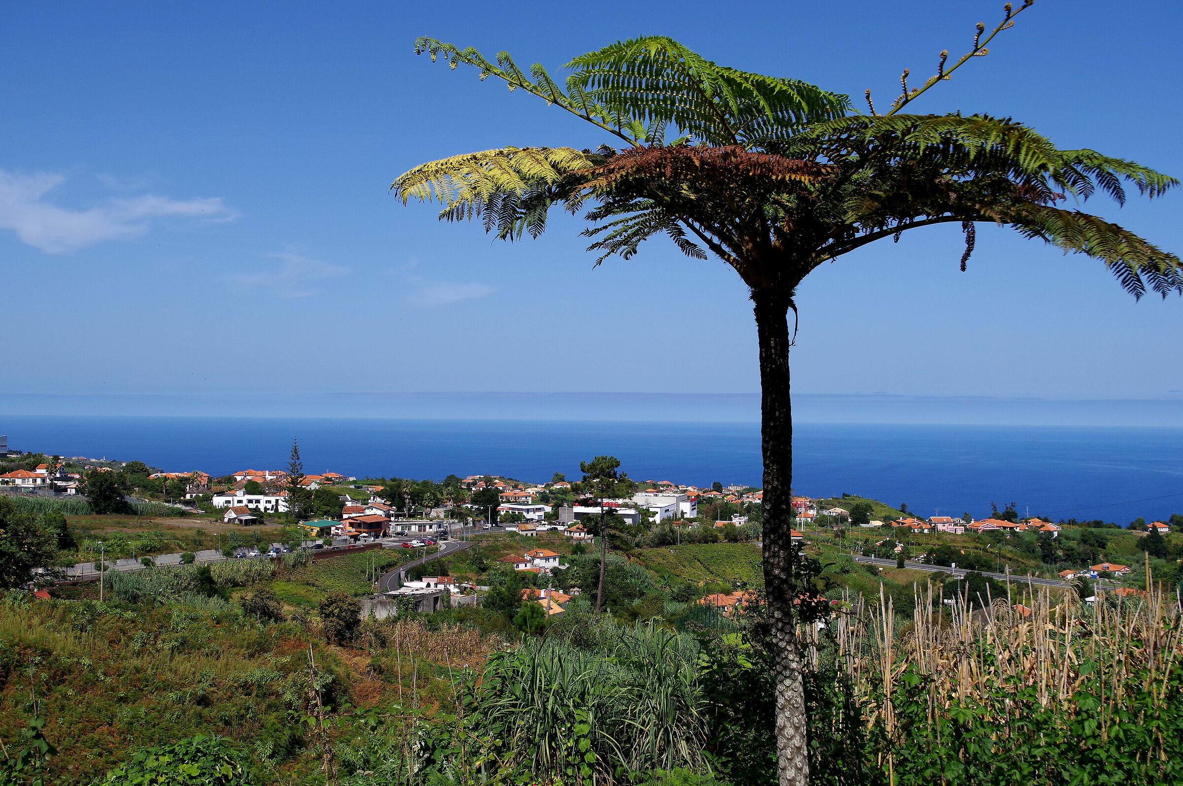 paesaggio di Madeira...