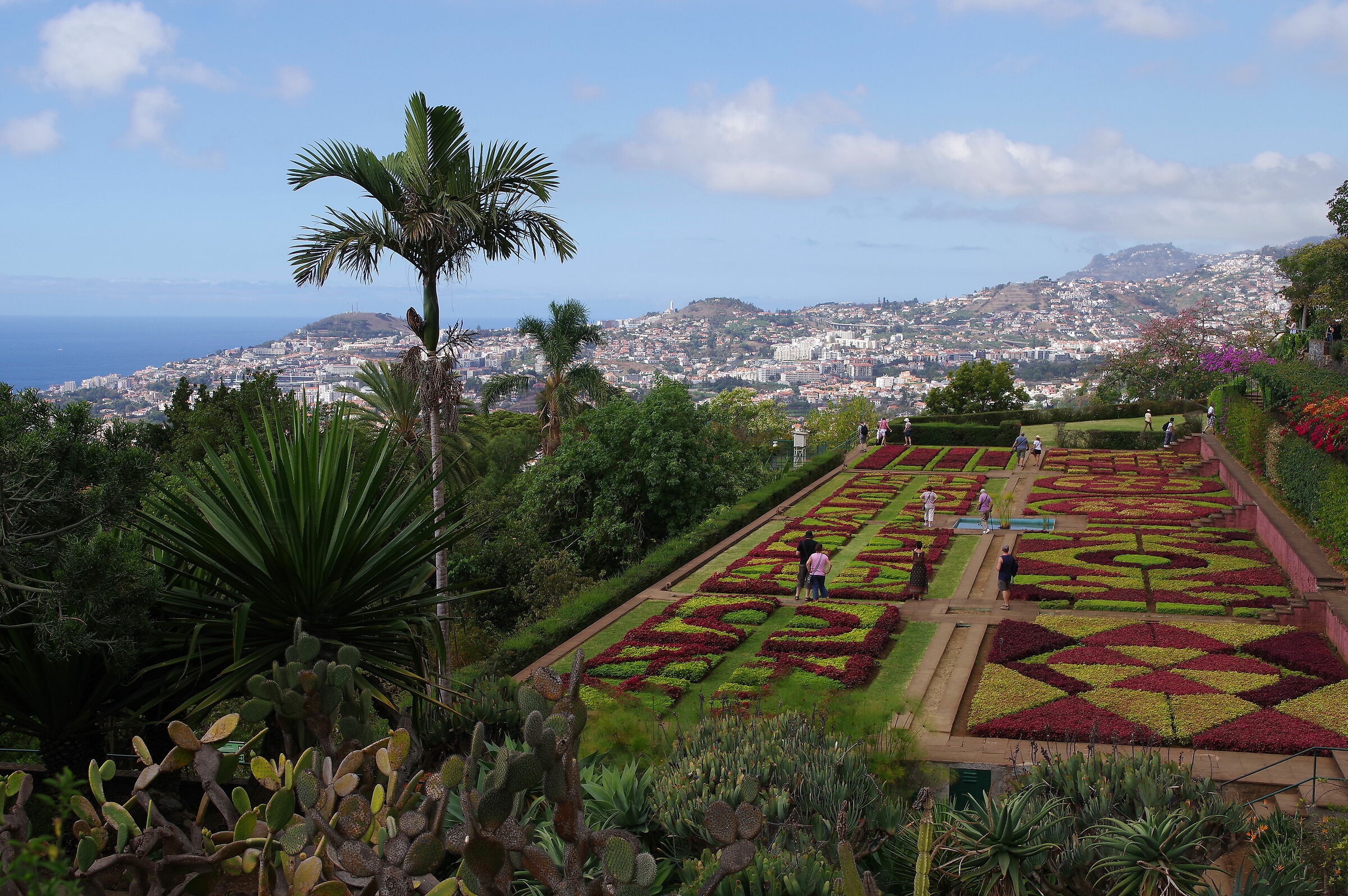 giardino botanico a Funchal (Madeira)...