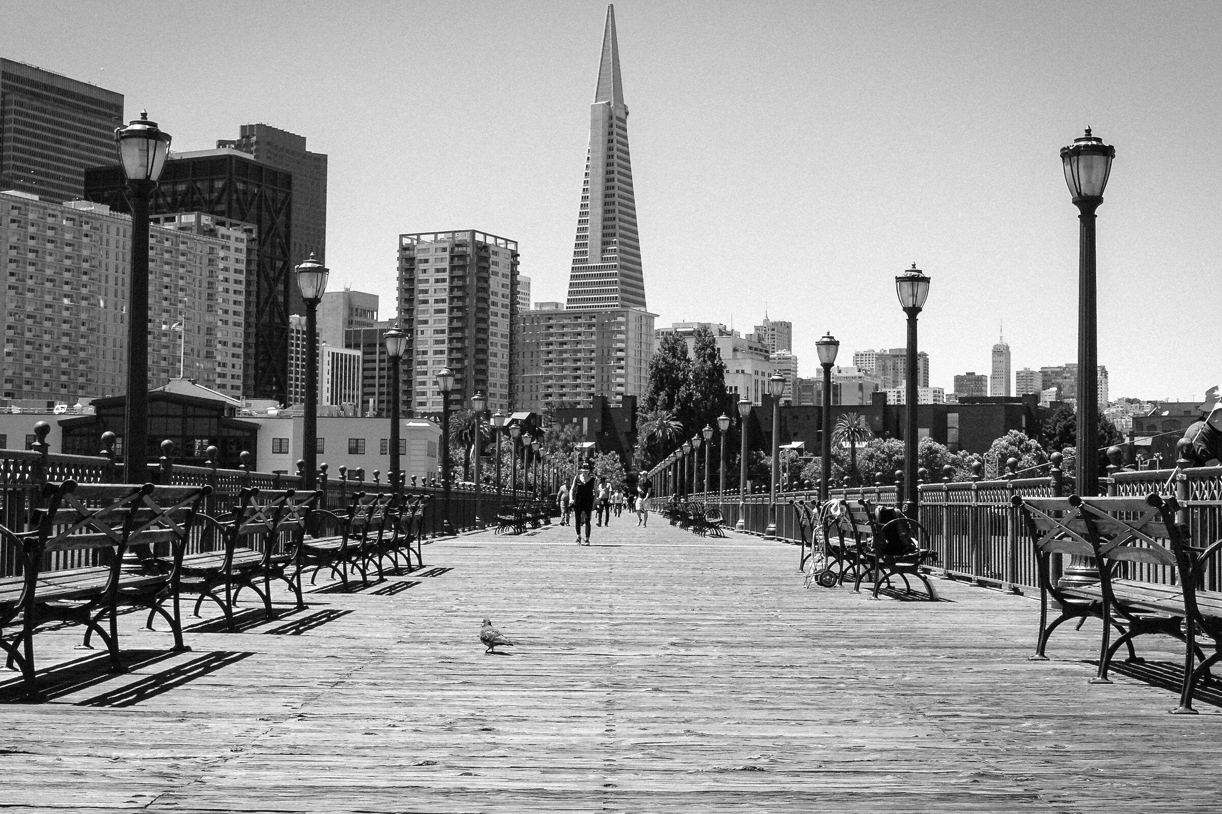 Pier 7 - San Francisco...
