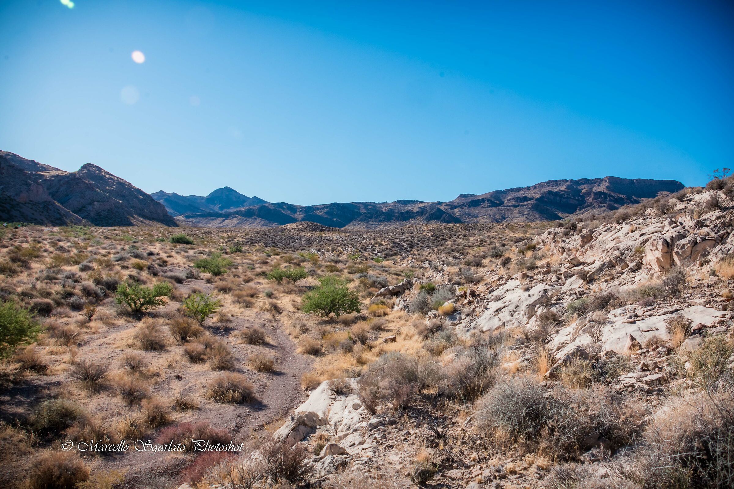 Landscape in Mojave Desert...