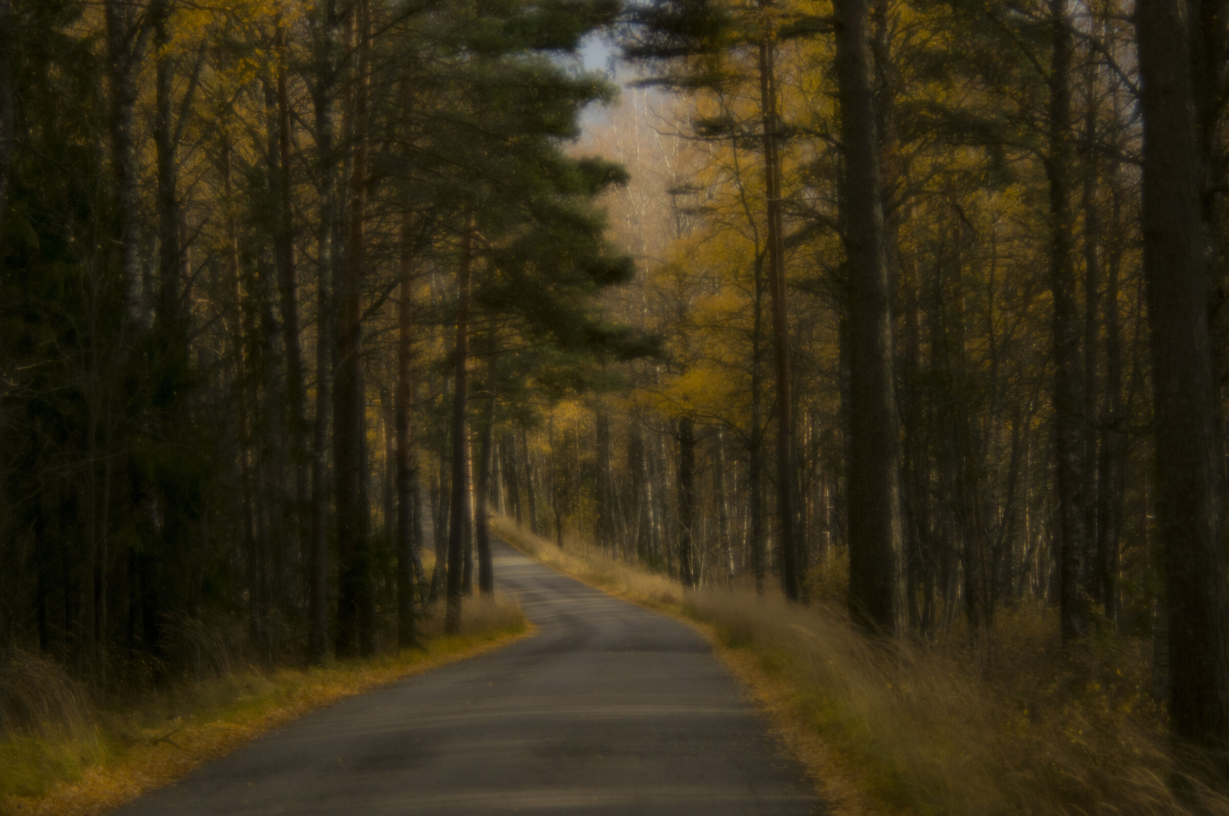 Autumn road...