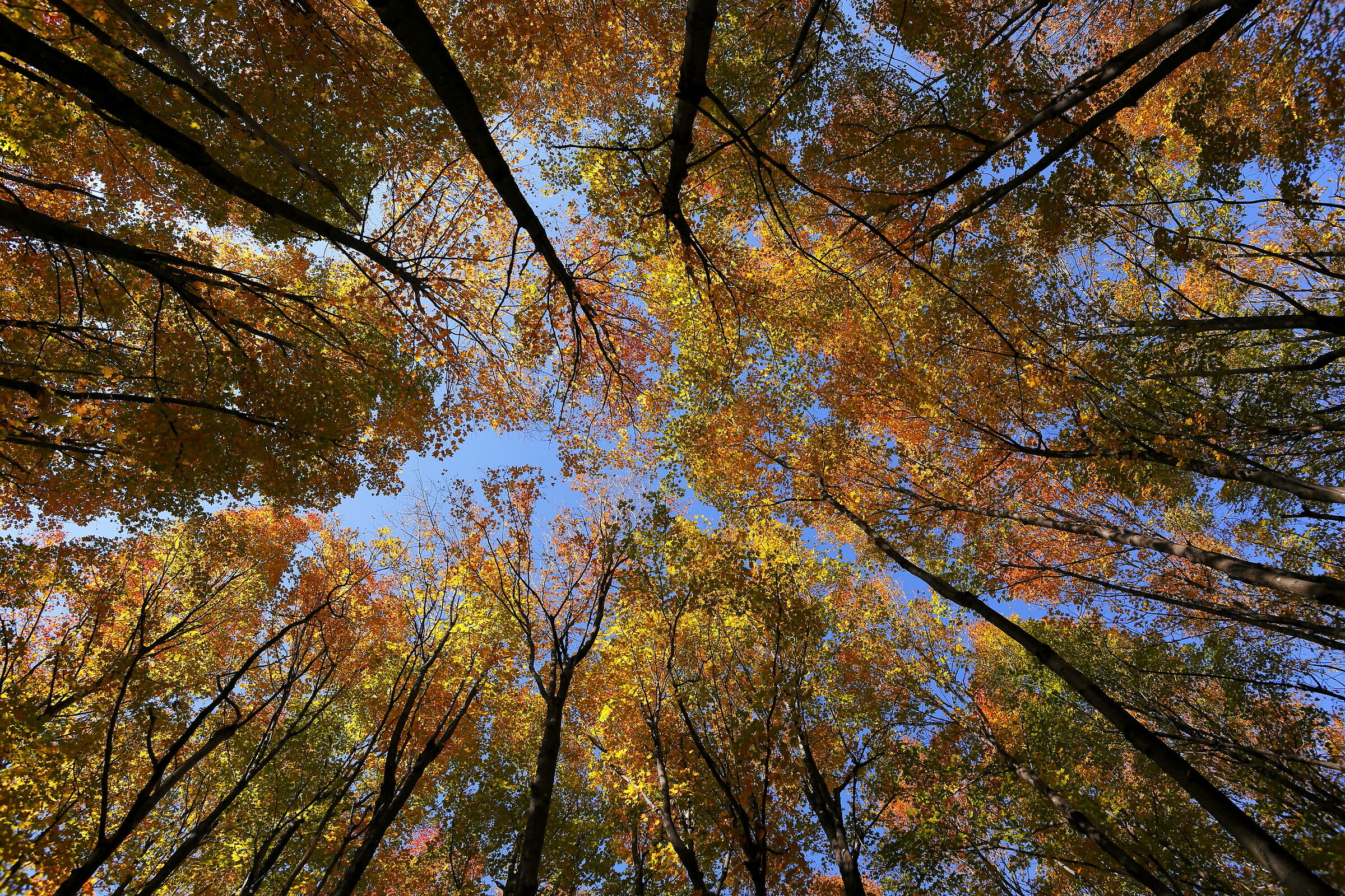 autunno ...