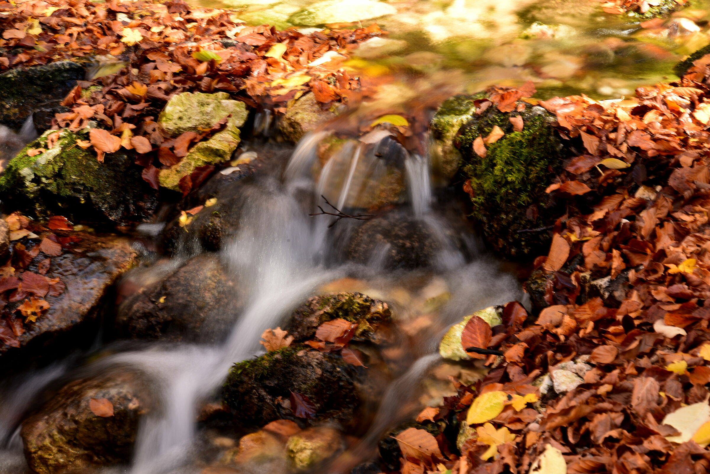 autumn streams...