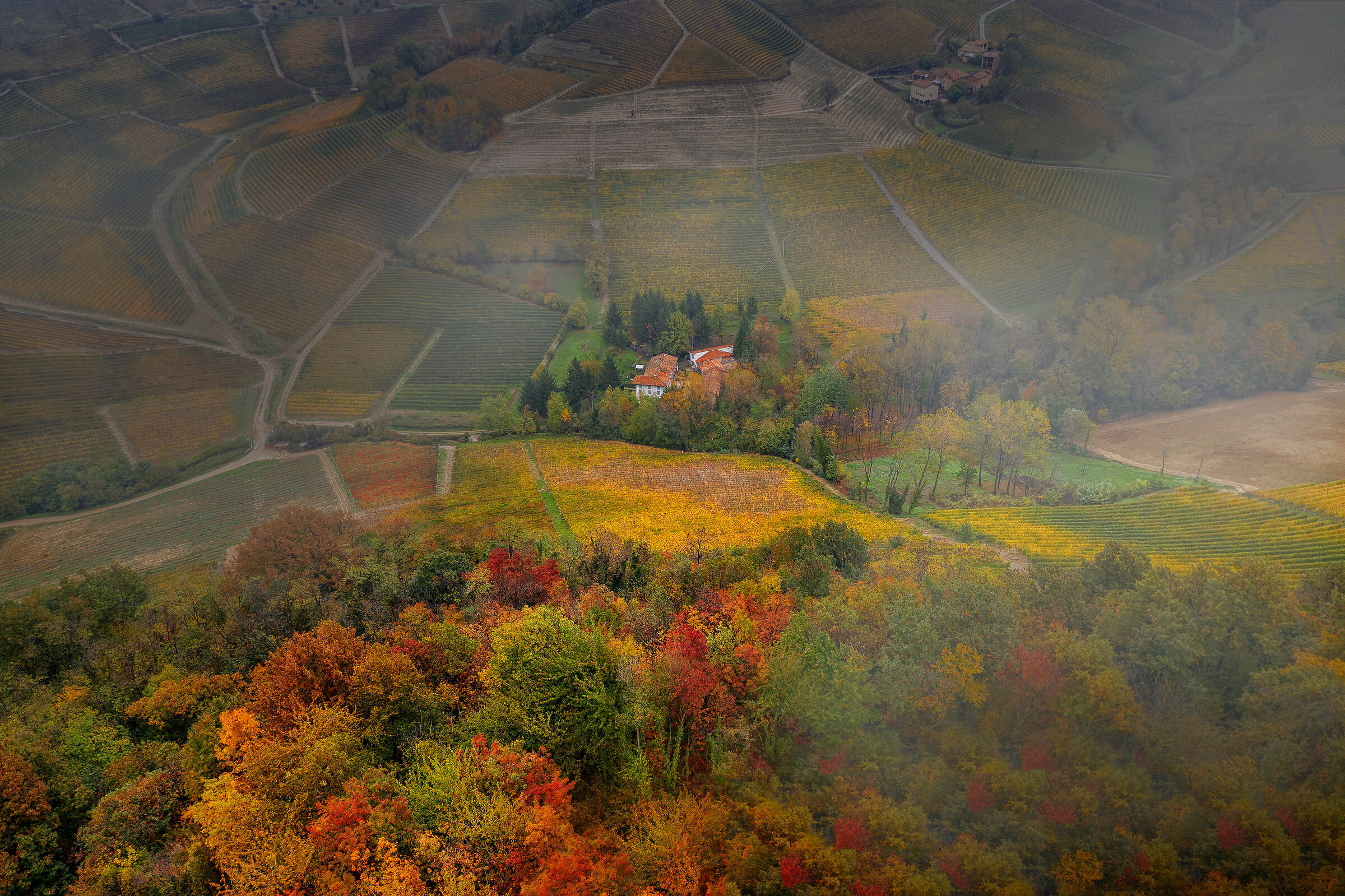 Autumn in the Langhe...