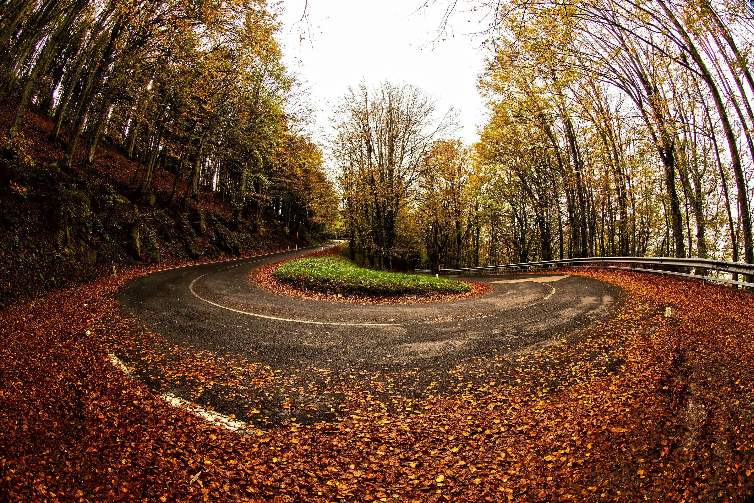 Italian Roads (autumn)...