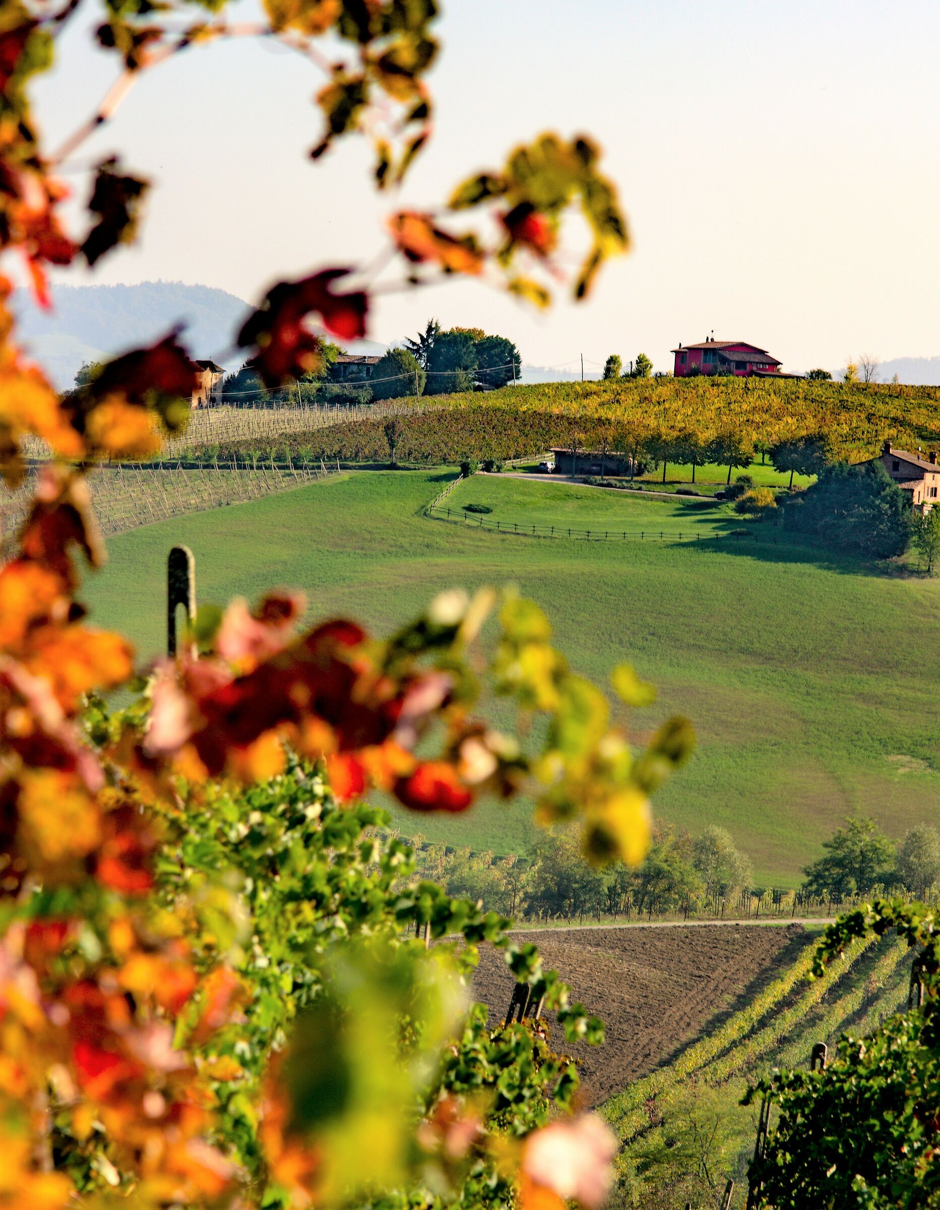 collina...