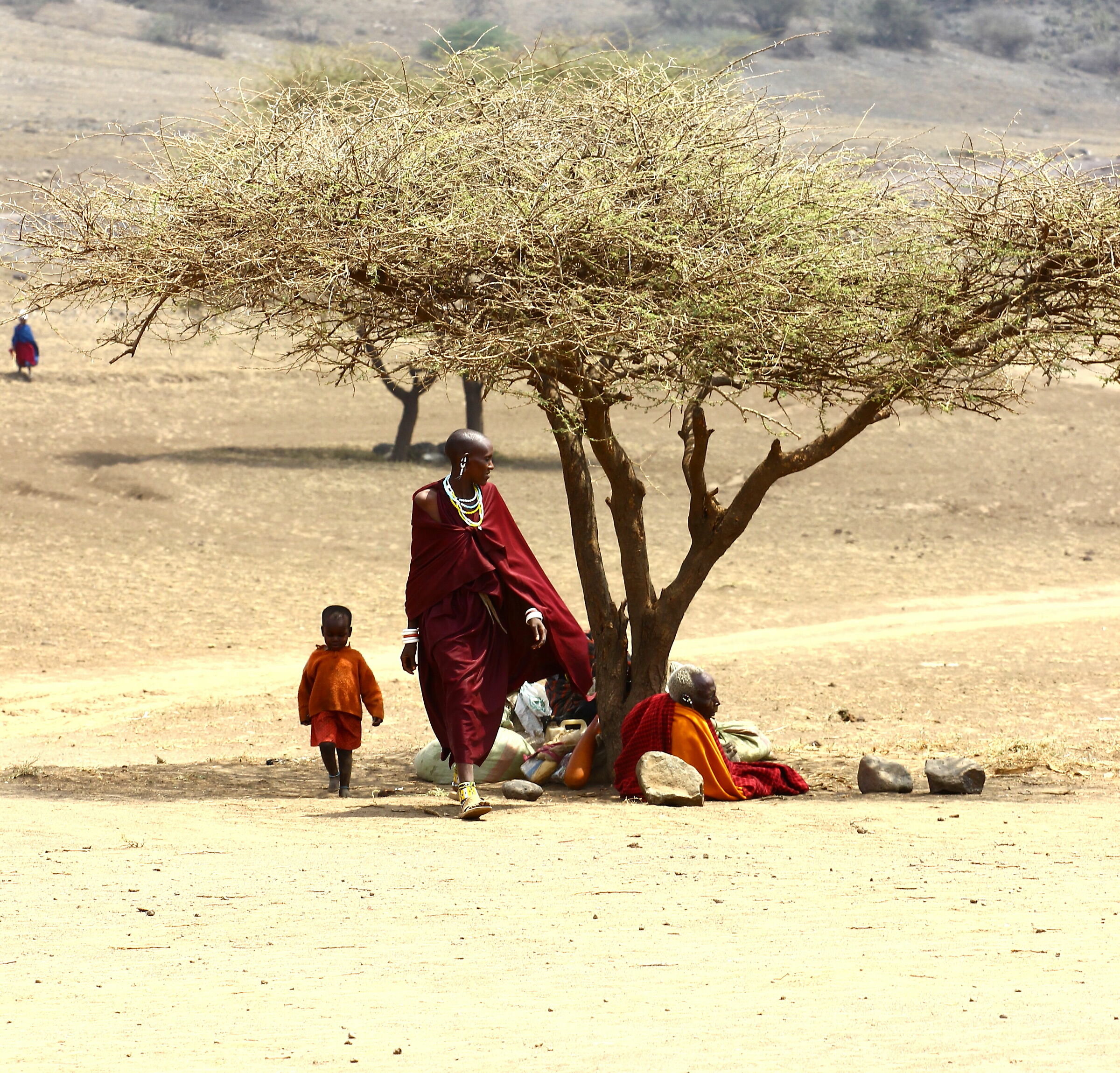 Maasai and the Three Generations...