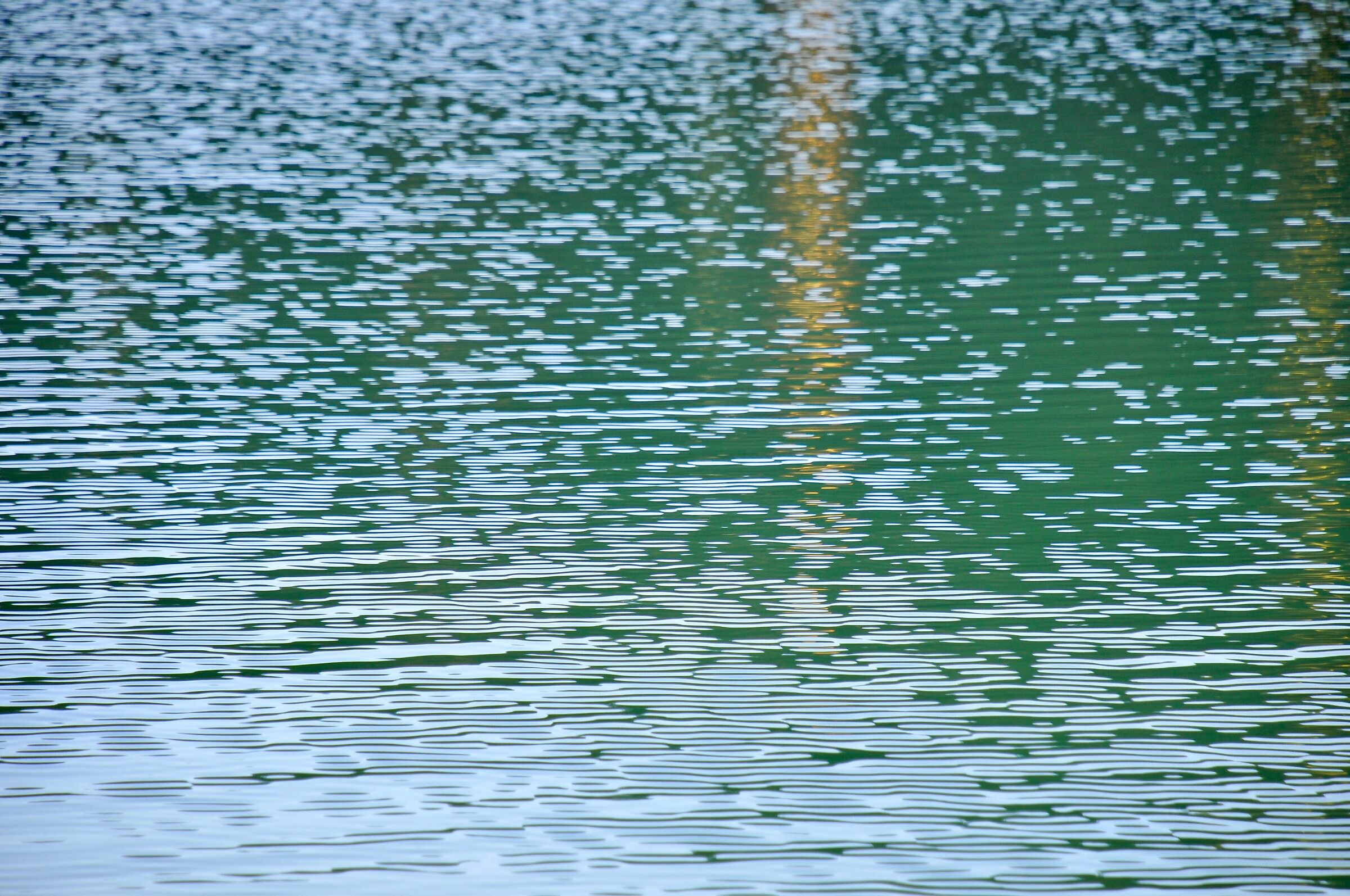 pattern on the lake...