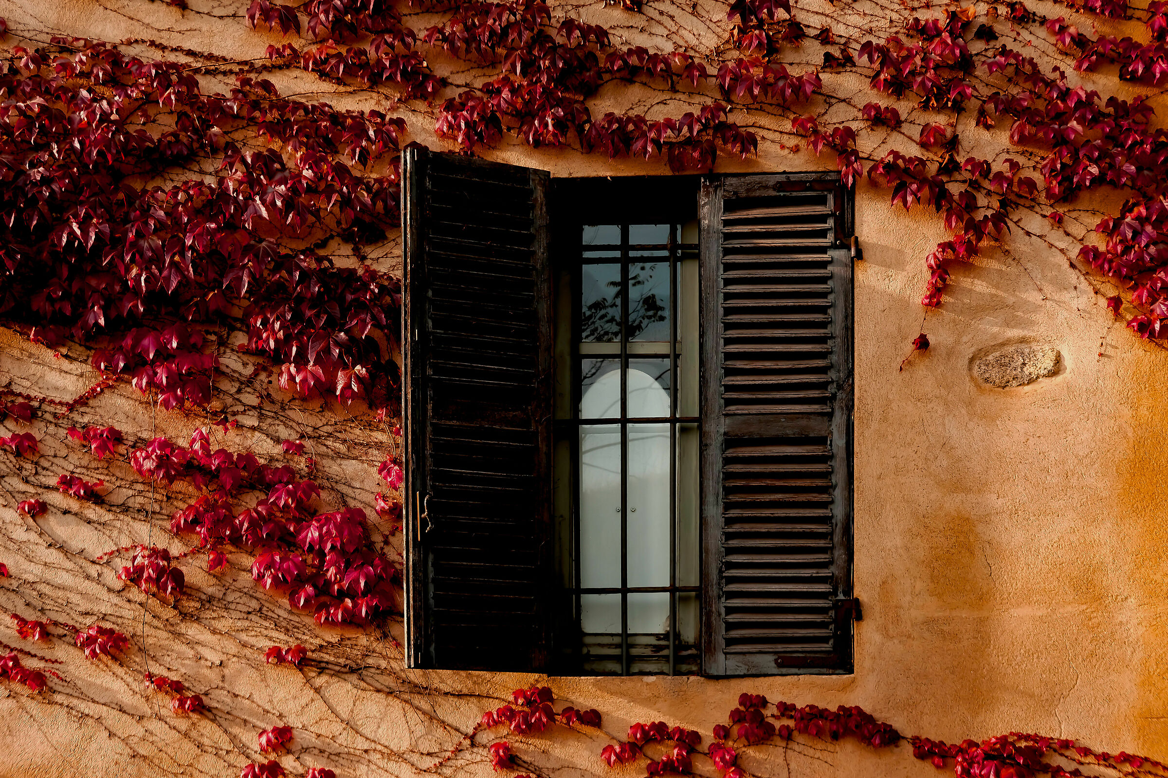 Autumn window...