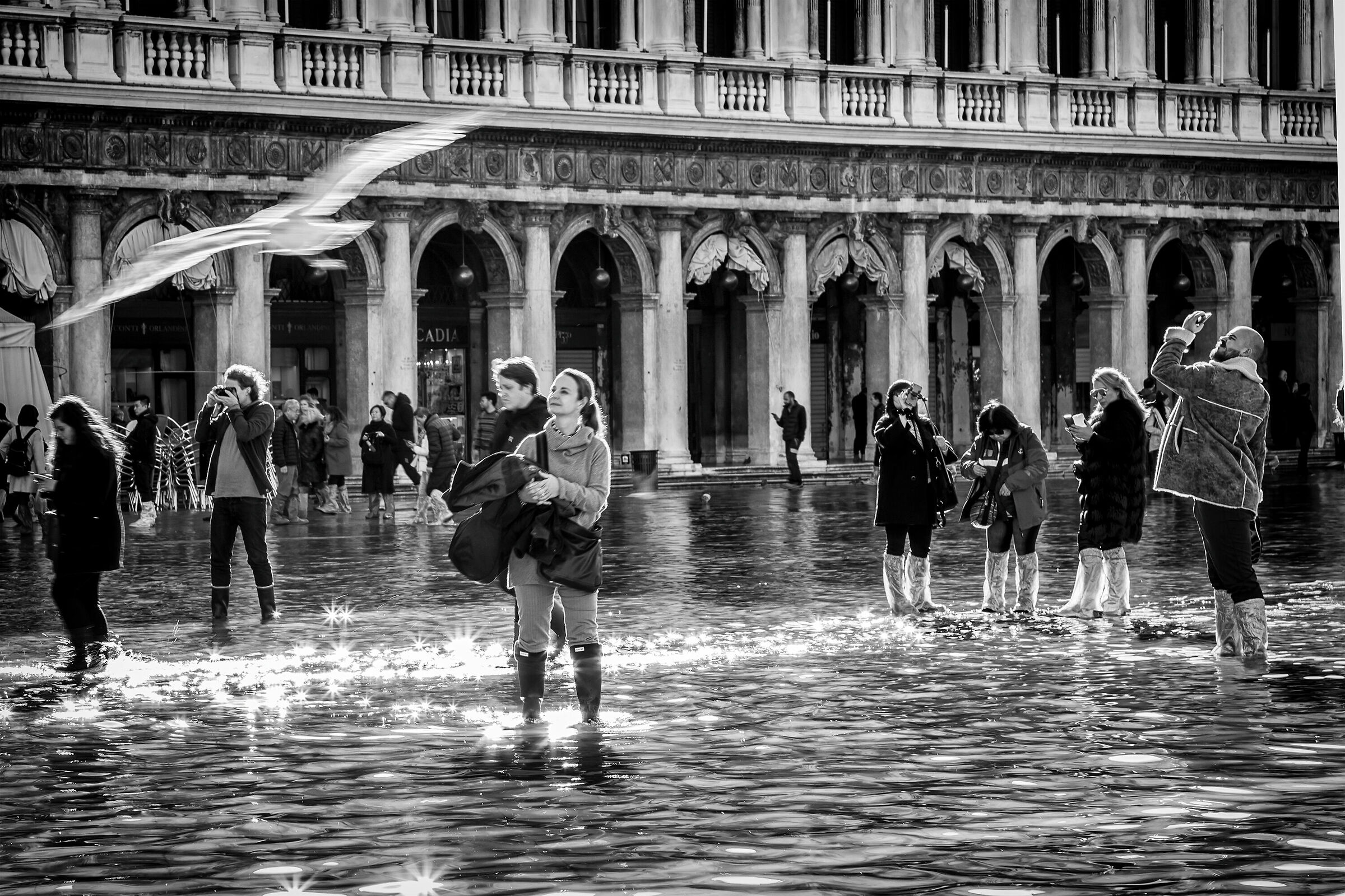 Acqua alta in piazza San Marco a Venezia...